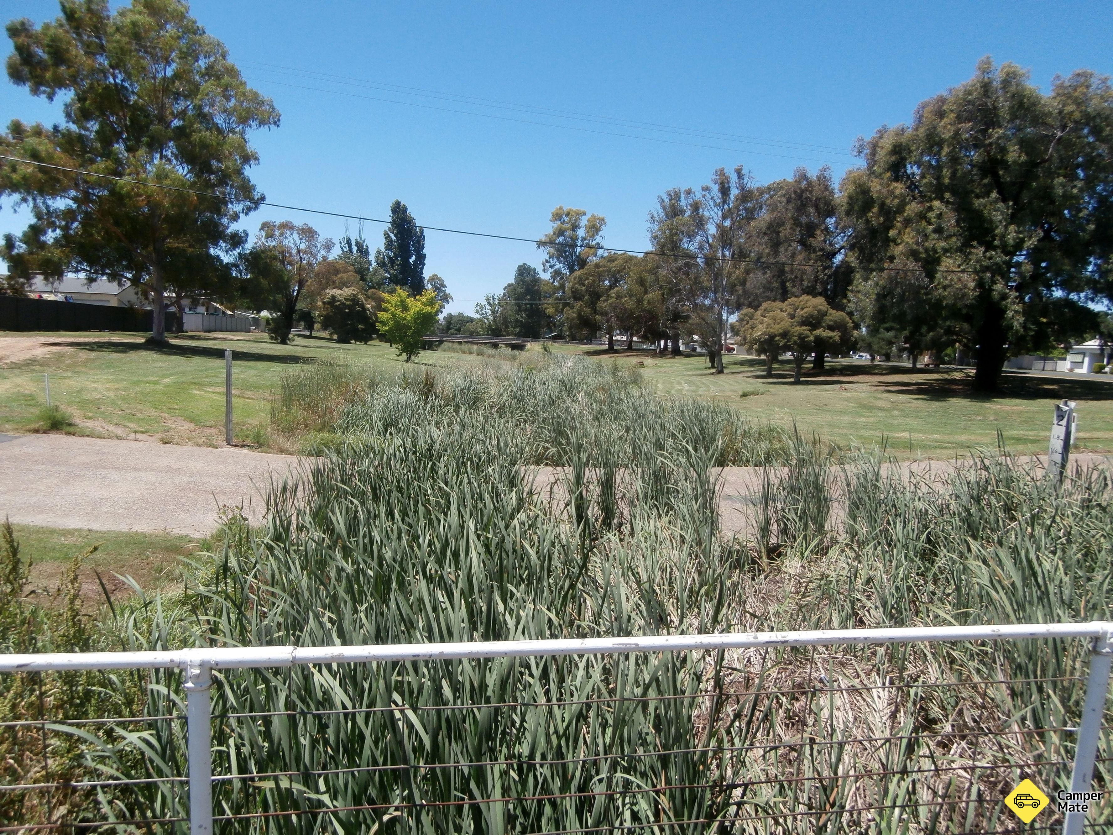 Cootamundra vogelwandeling - Image 2