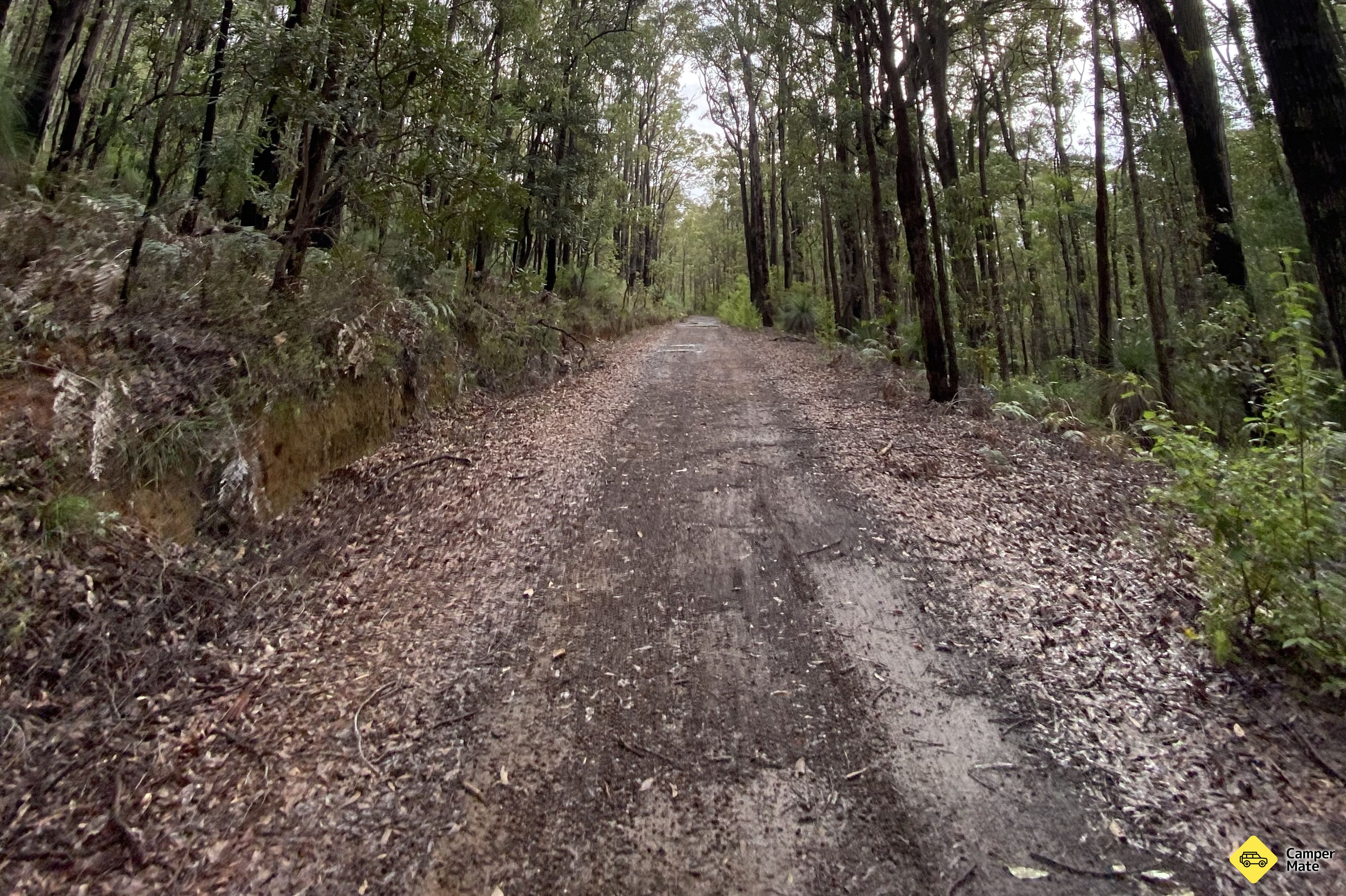 Nanga Mill, Lane Pool Reserveのレビュー - Image 3