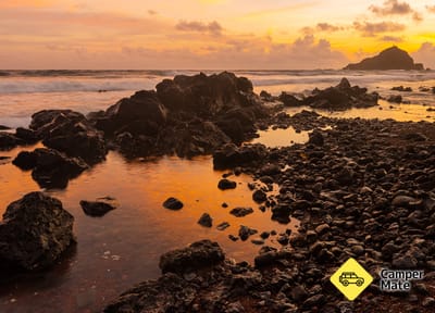 Mokau Beach