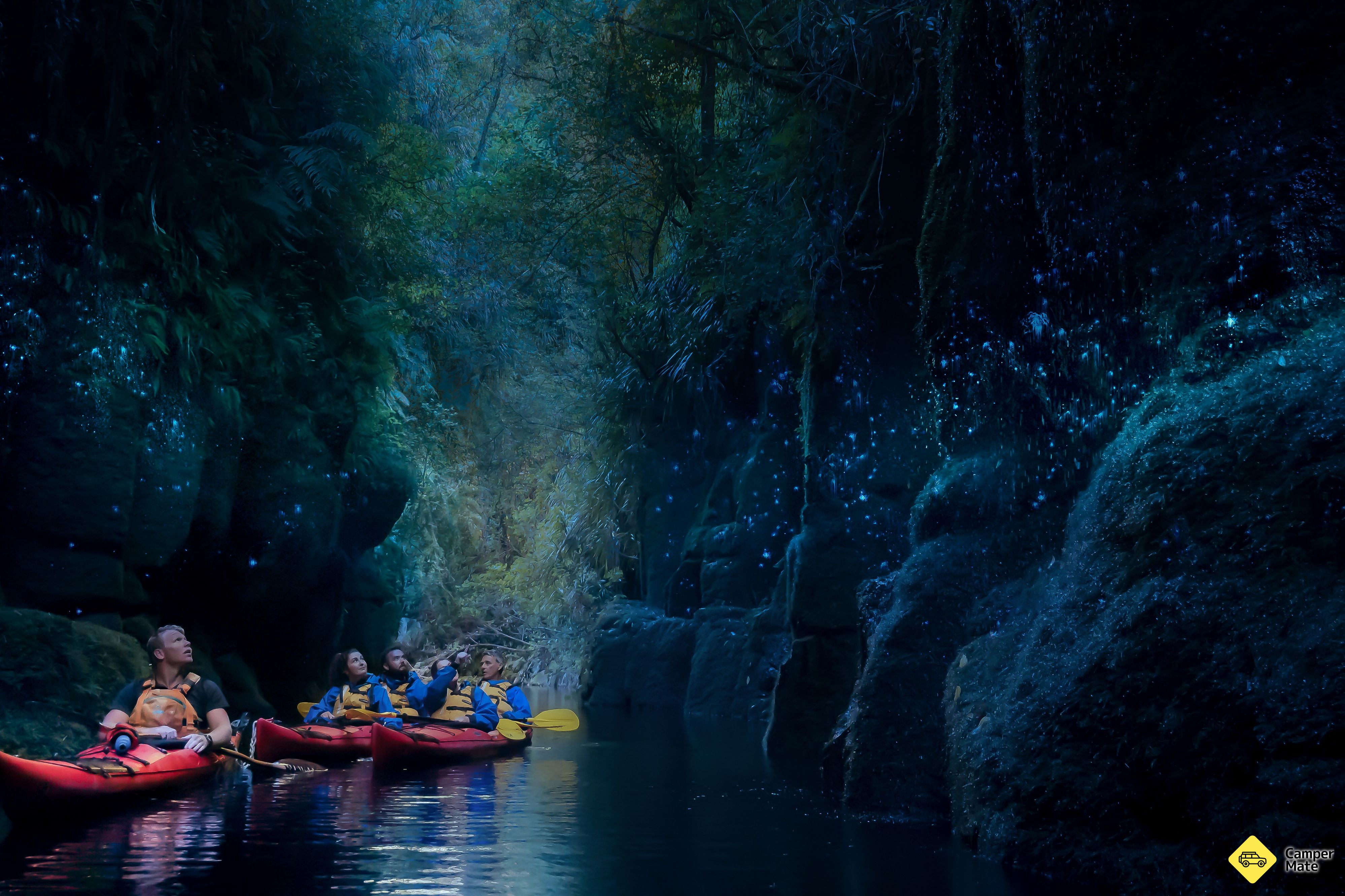 Waimarino Tauranga Glow worm Kayak Tour - Image 2