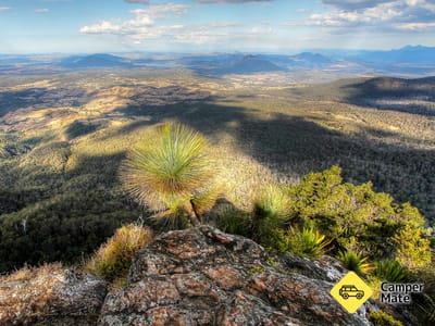 Mount Cordeaux Track