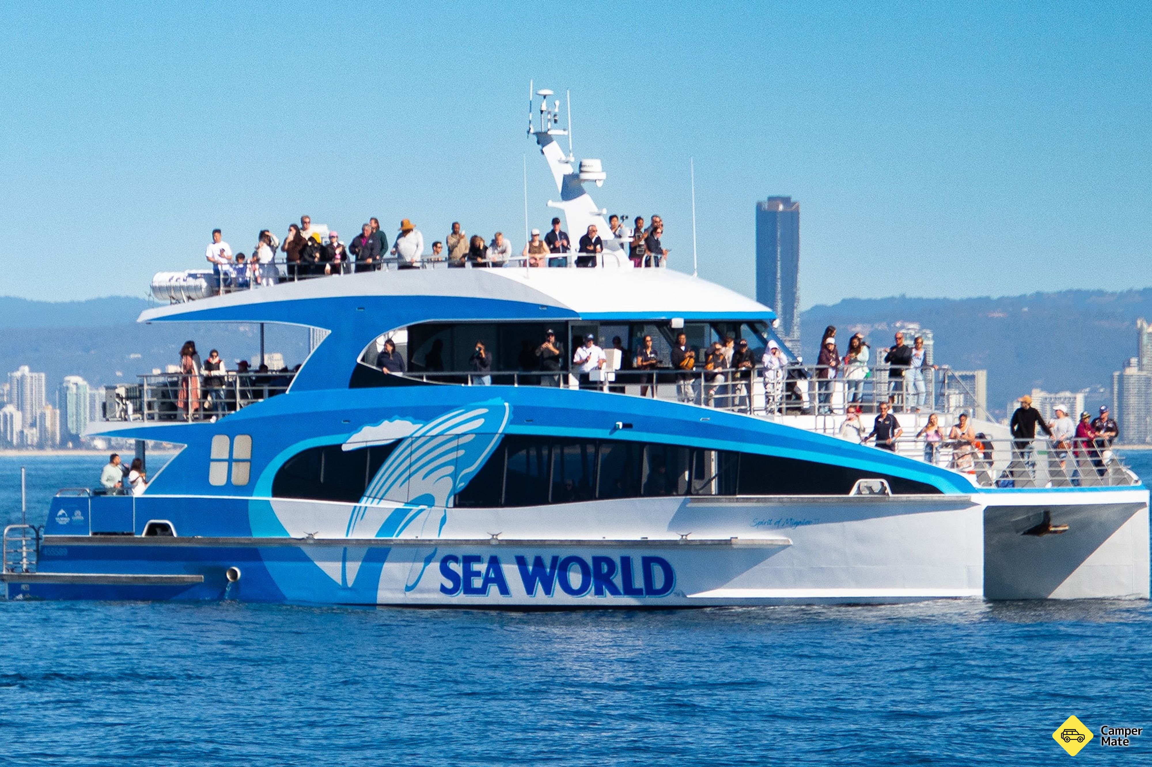 Sledování velryb s Sea World Cruises - Image 3