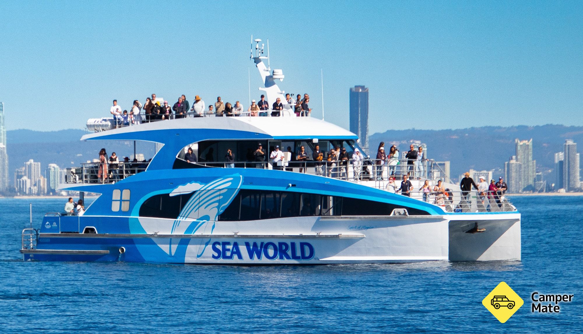 Whale Watching with Sea World Cruises  - Image 3