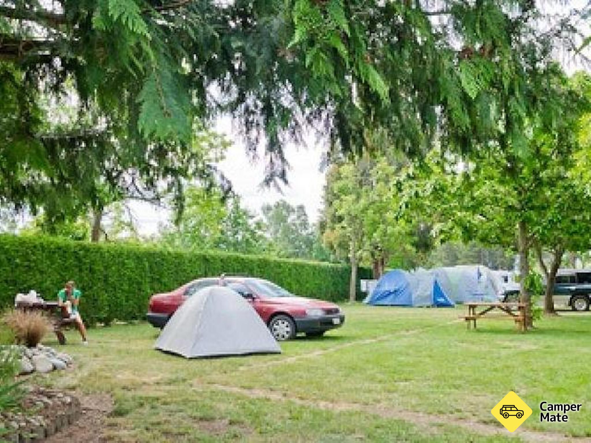 Twizel Holiday Park 근처 오락거리 - Image 3