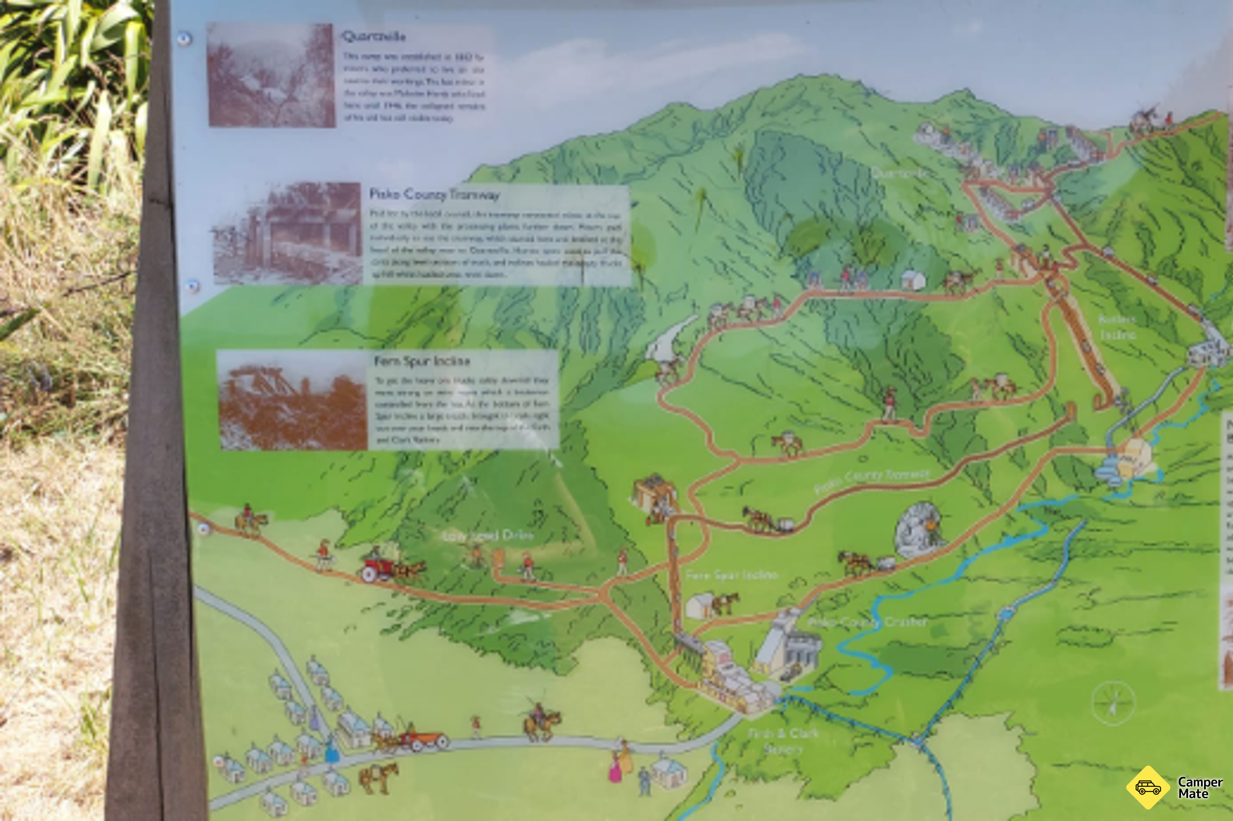 Waiorongomai Valley Walking Tracks - Image 3