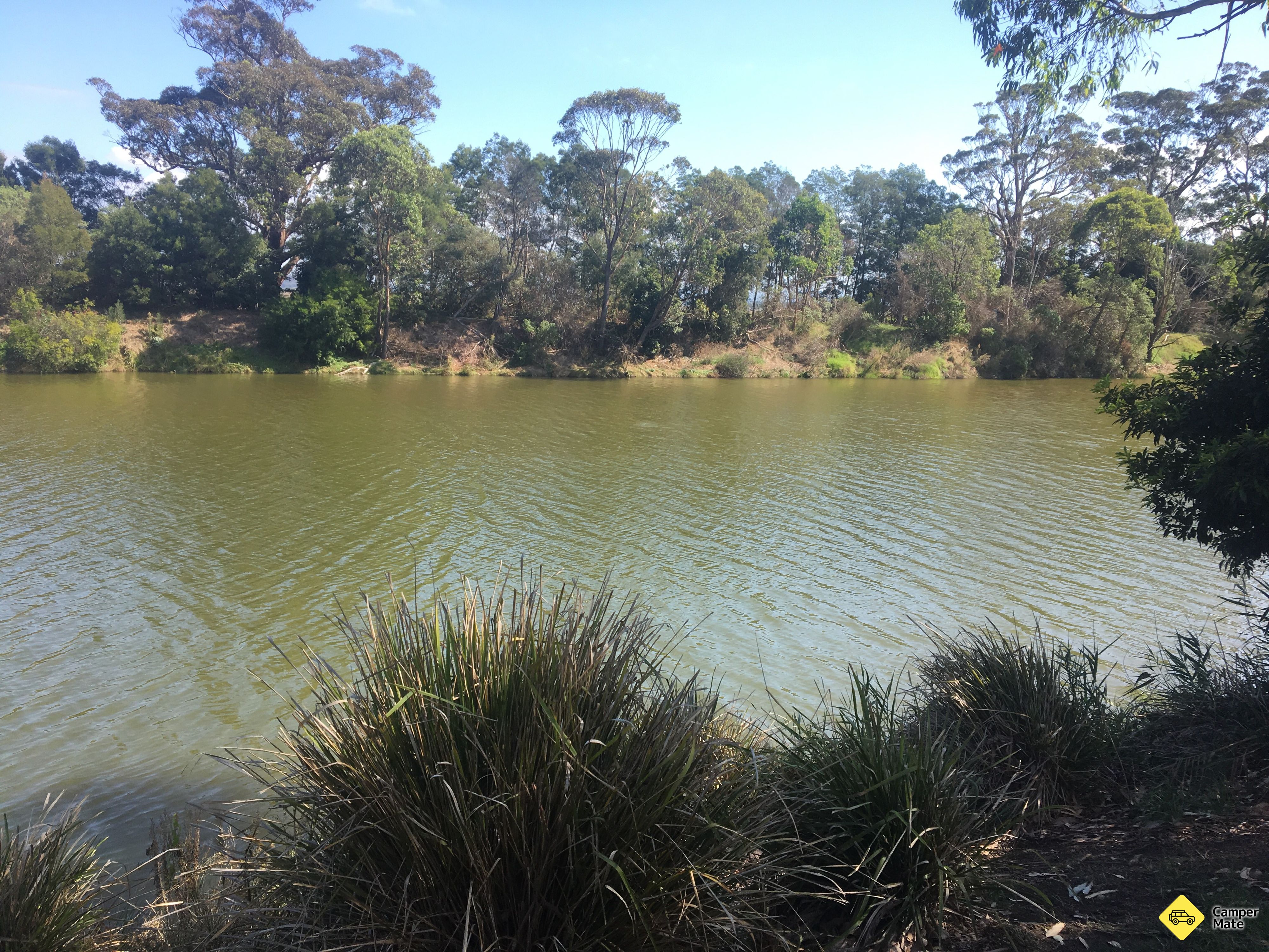 Snowy River Picnic Area - Image 2