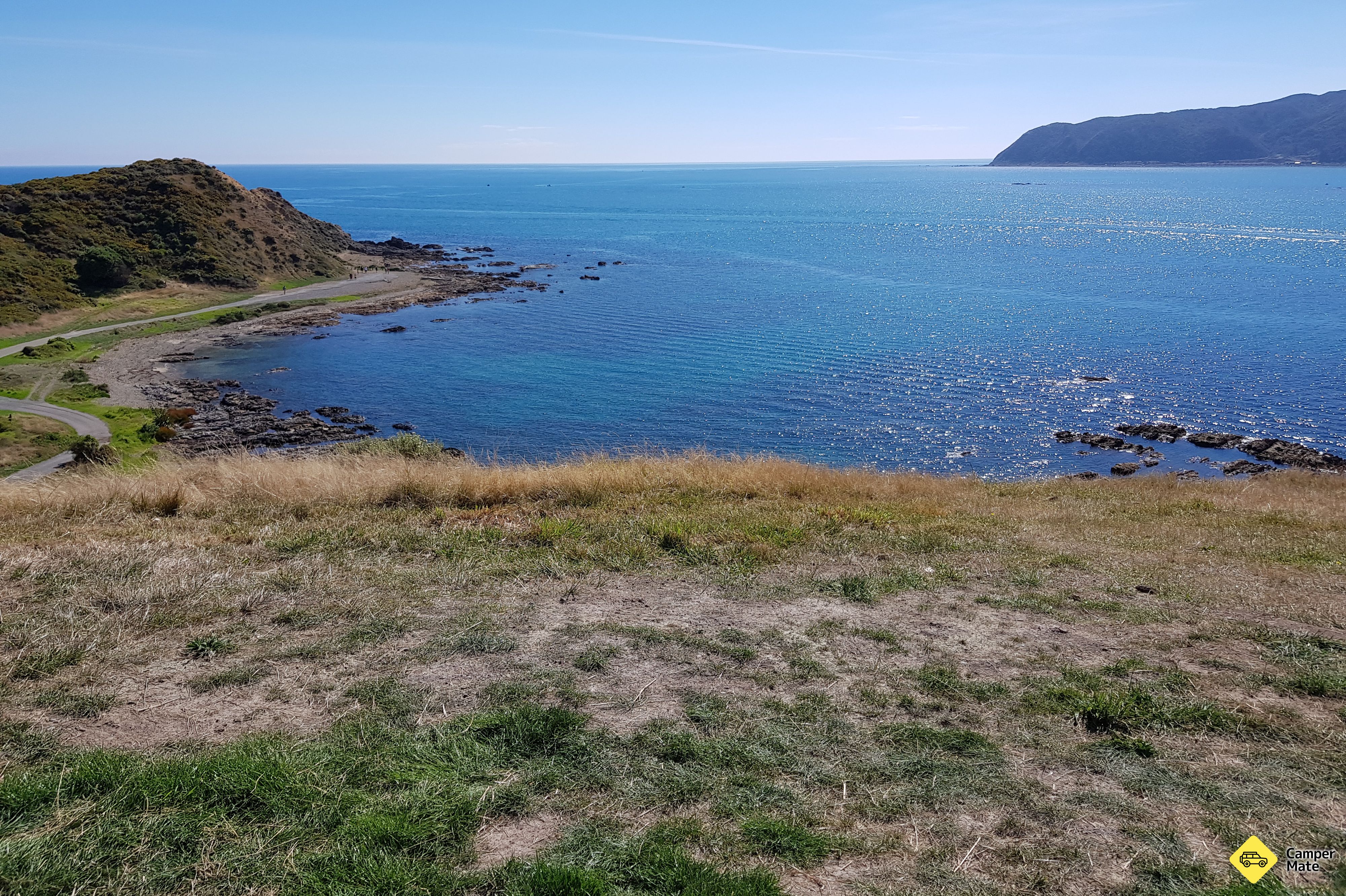 Te Onepoto Loop Track - Image 3