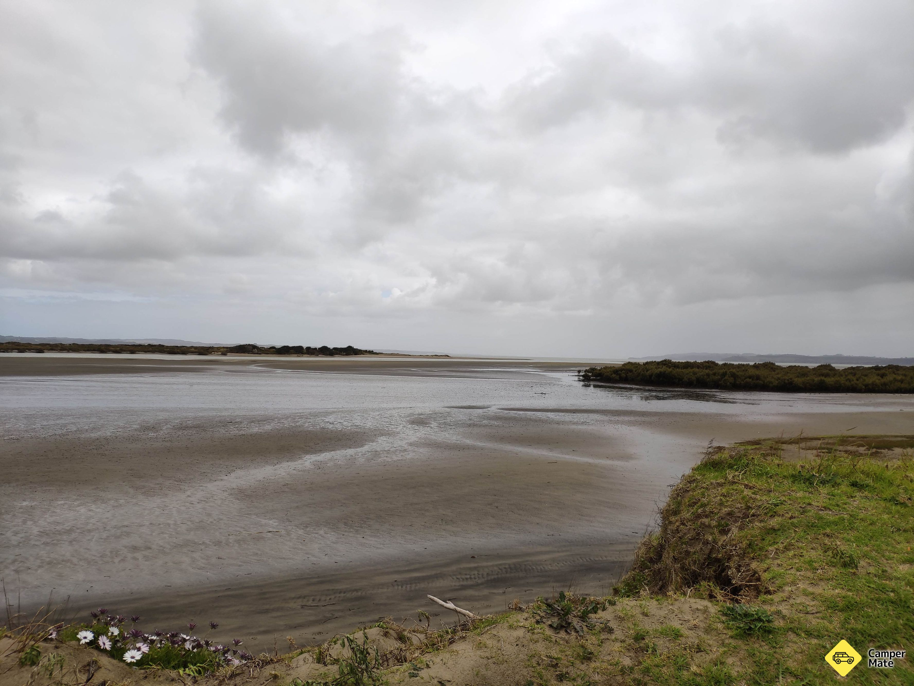 Birds Beach - Image 3