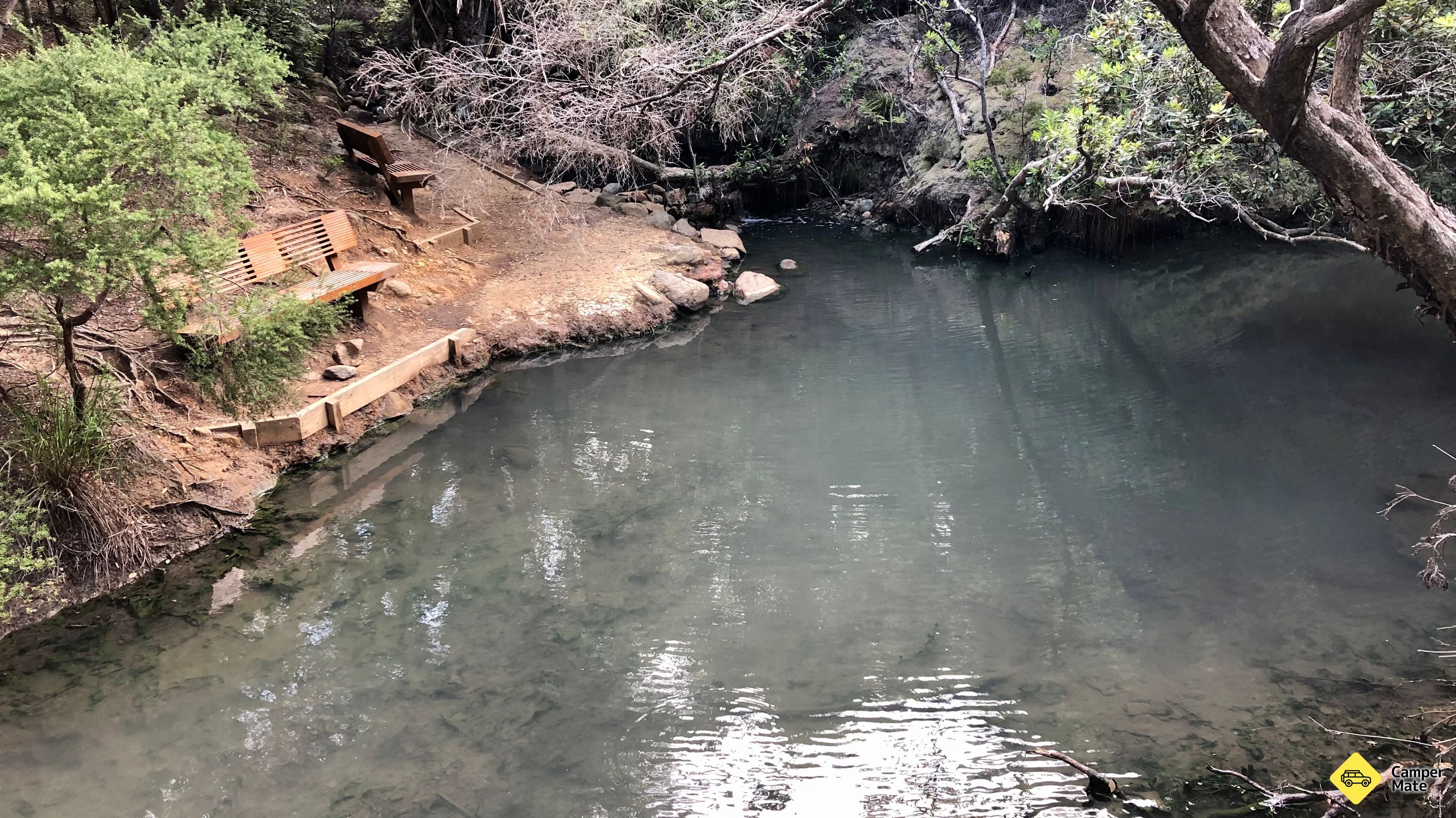 Kaitoke Natural Hot Springs 근처 오락거리