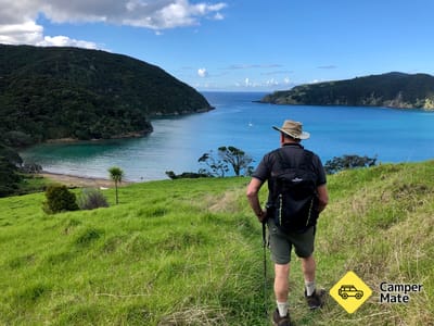 Whangamumu Track