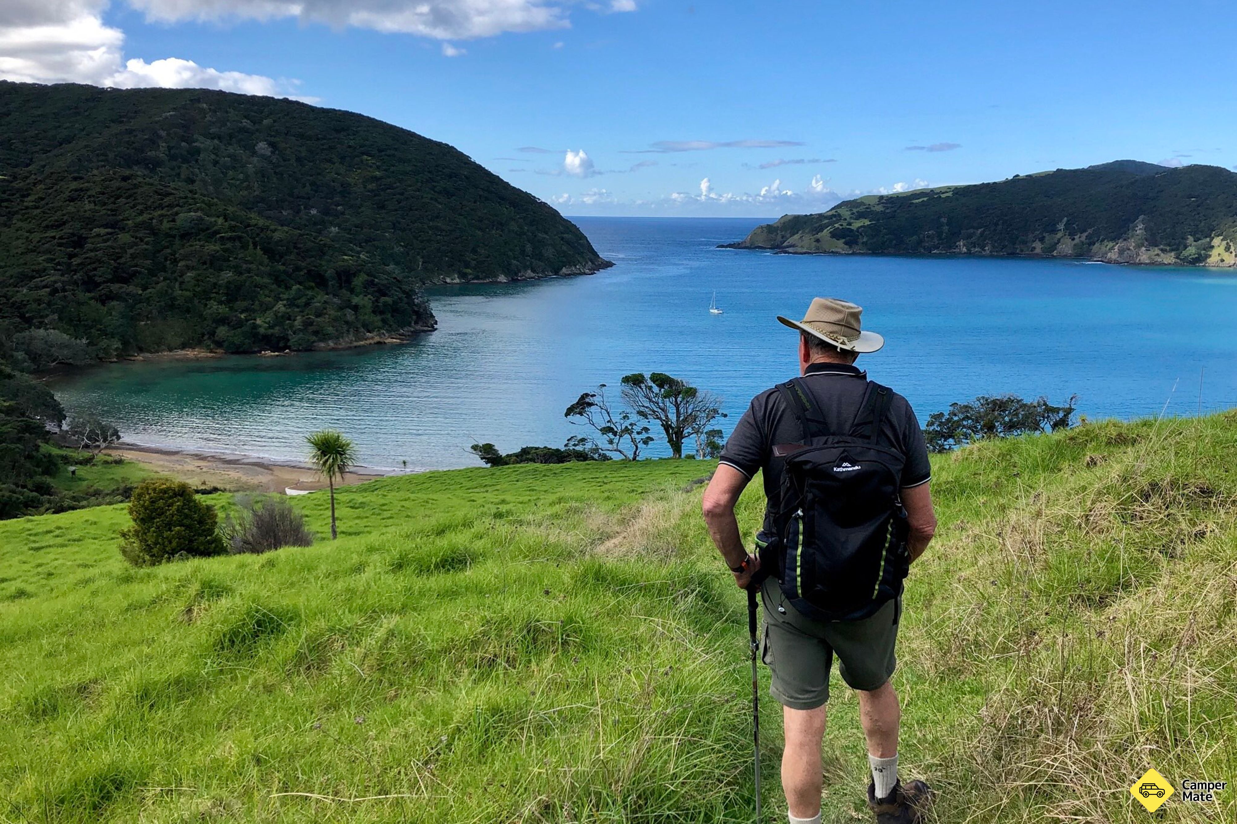 Whangamumu Track