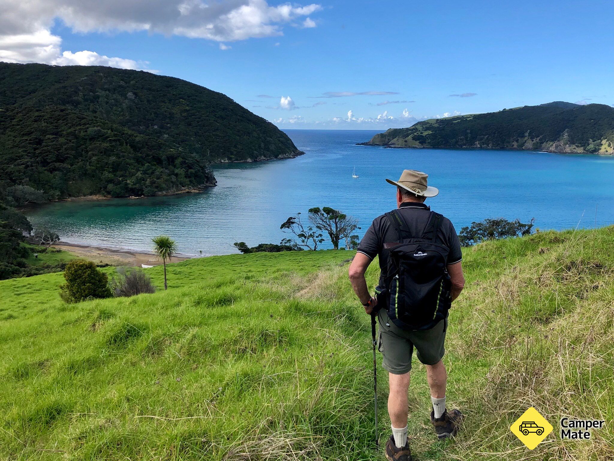 Whangamumu Track
