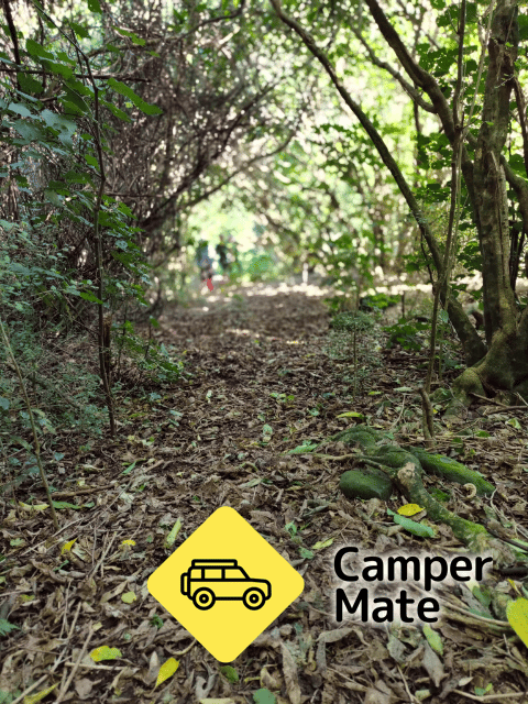 Hinewai Reserve