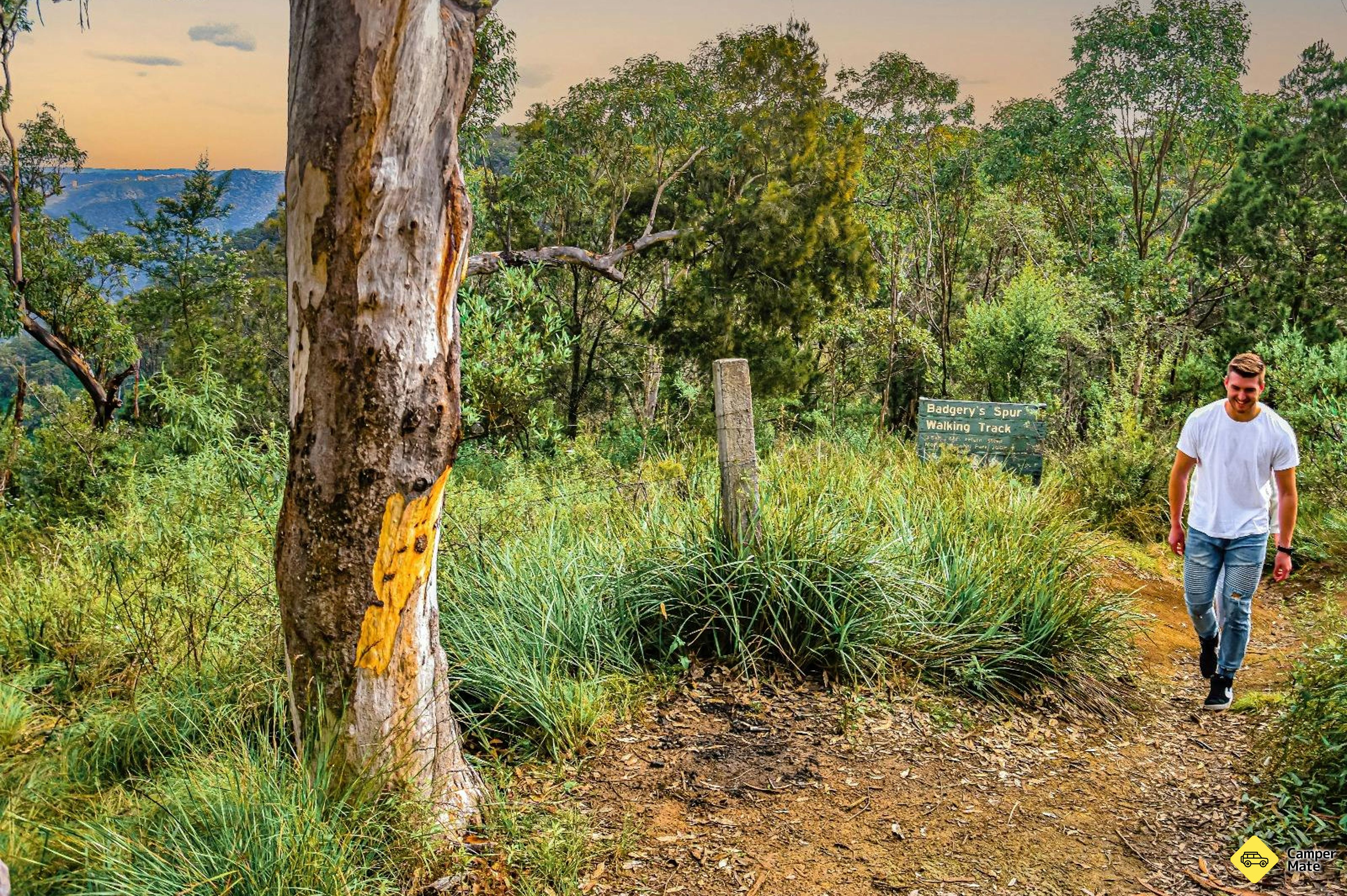 Badgerys Lookout