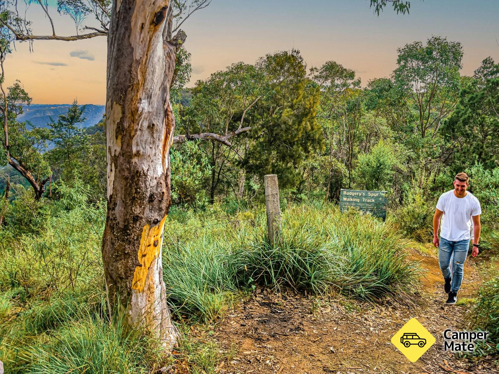 Badgerys Lookout