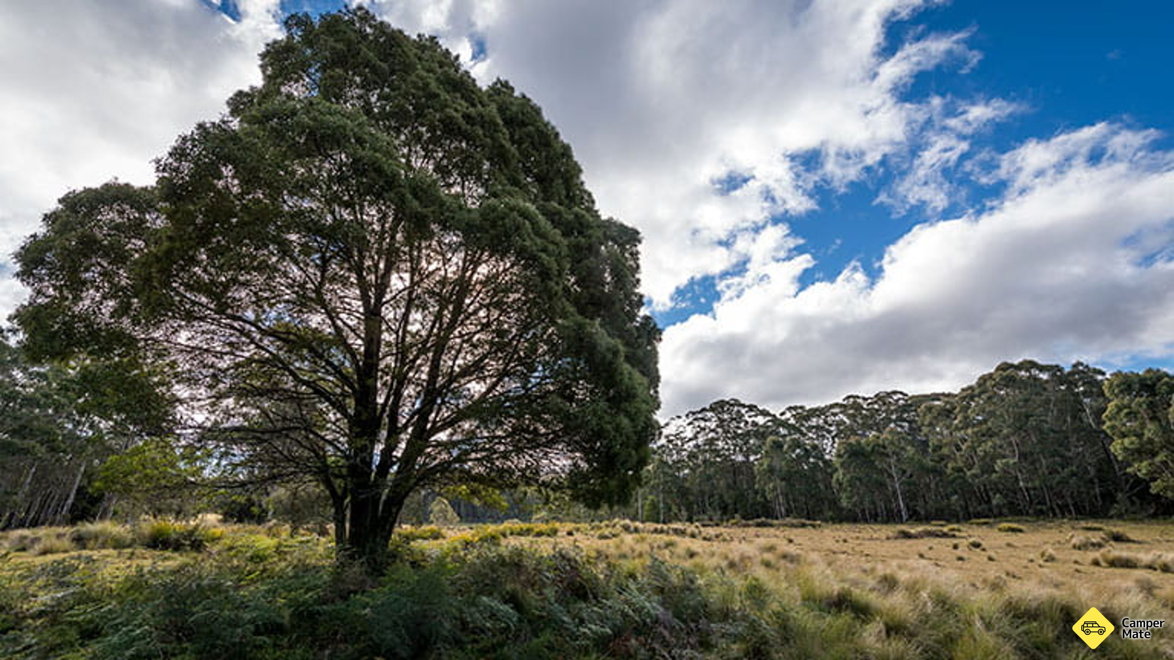 Nunnock Campground