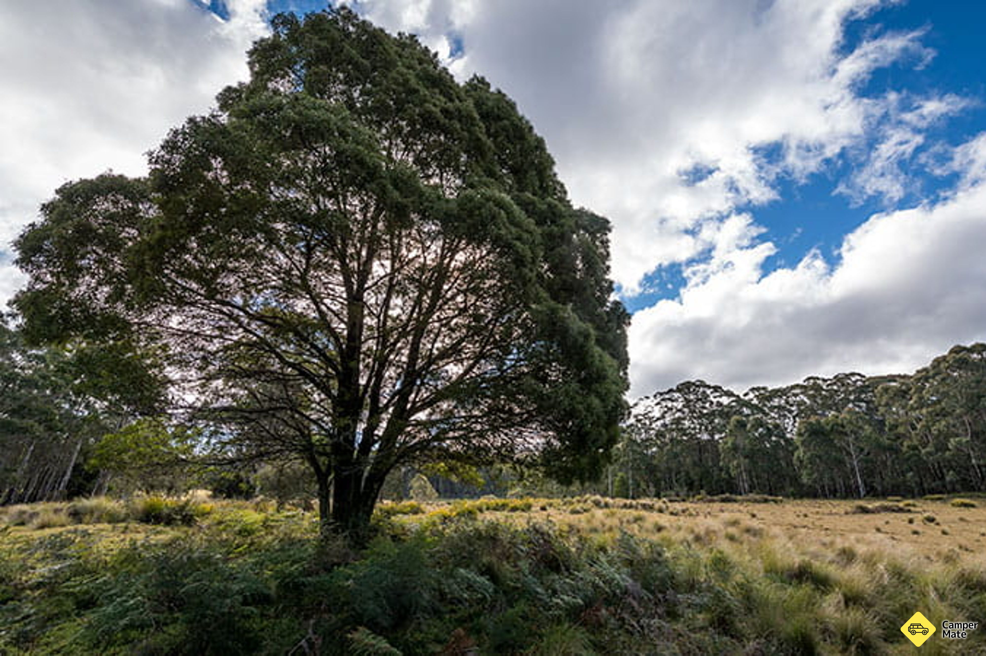 Nunnock Campground