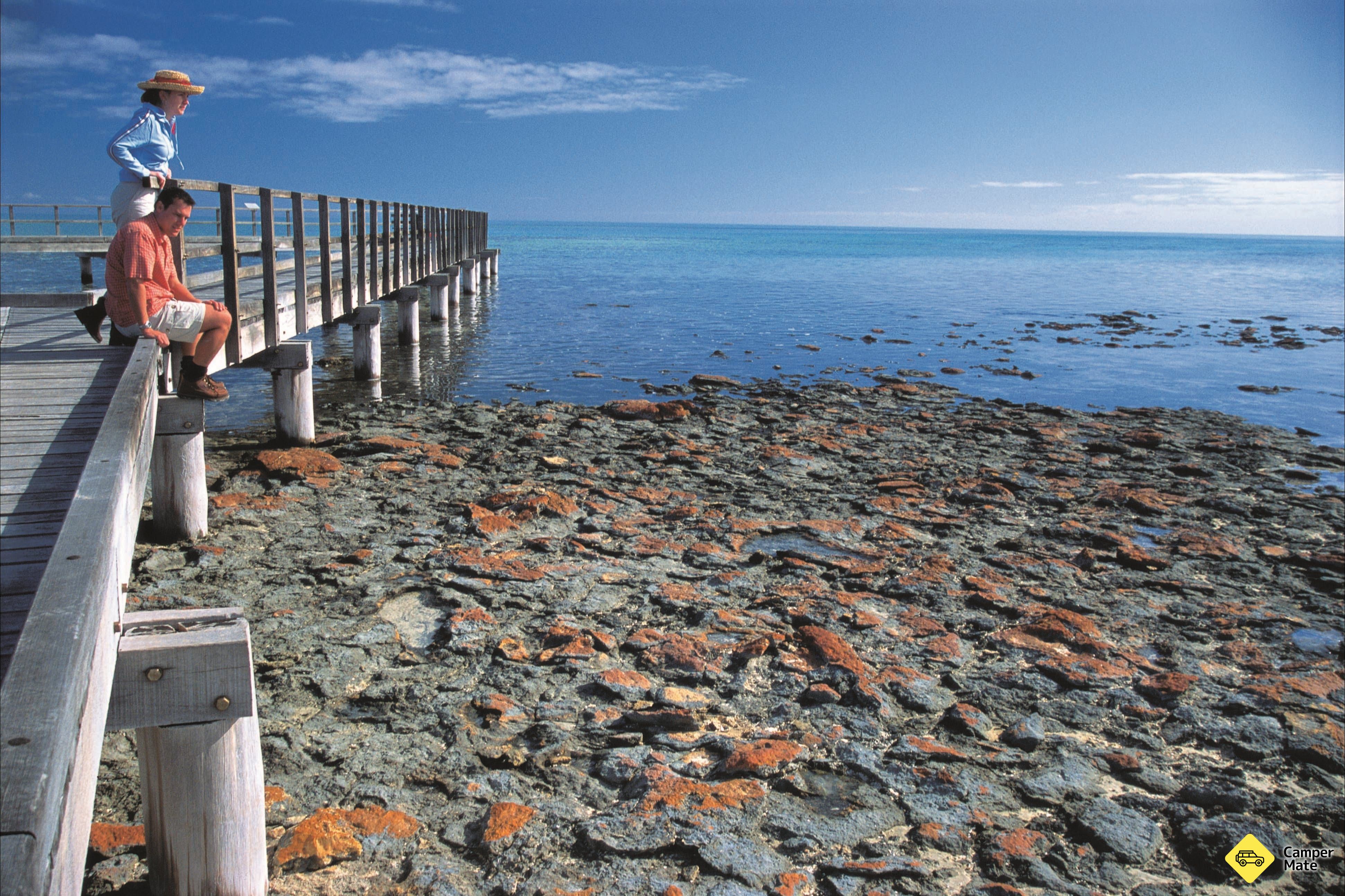Hamelin Pool Stromatolites