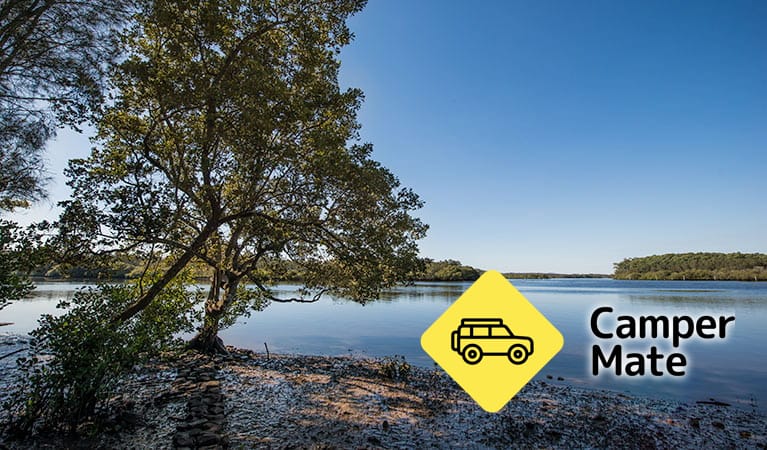 Tattersalls Campground - Image 3