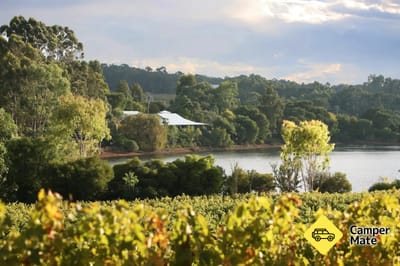 Goon Tycoons Winery