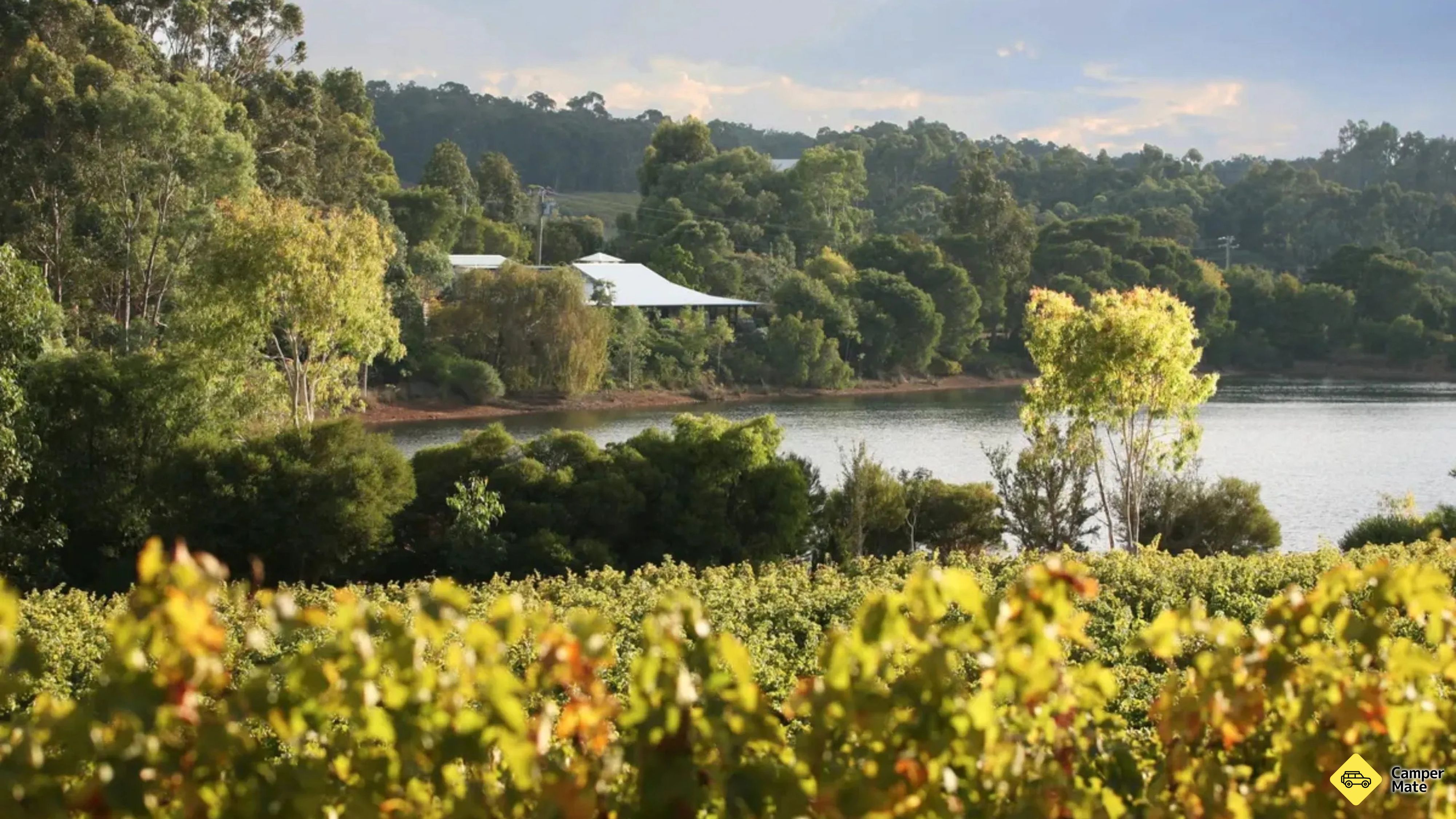 Ετικέτες Tycoons Winery