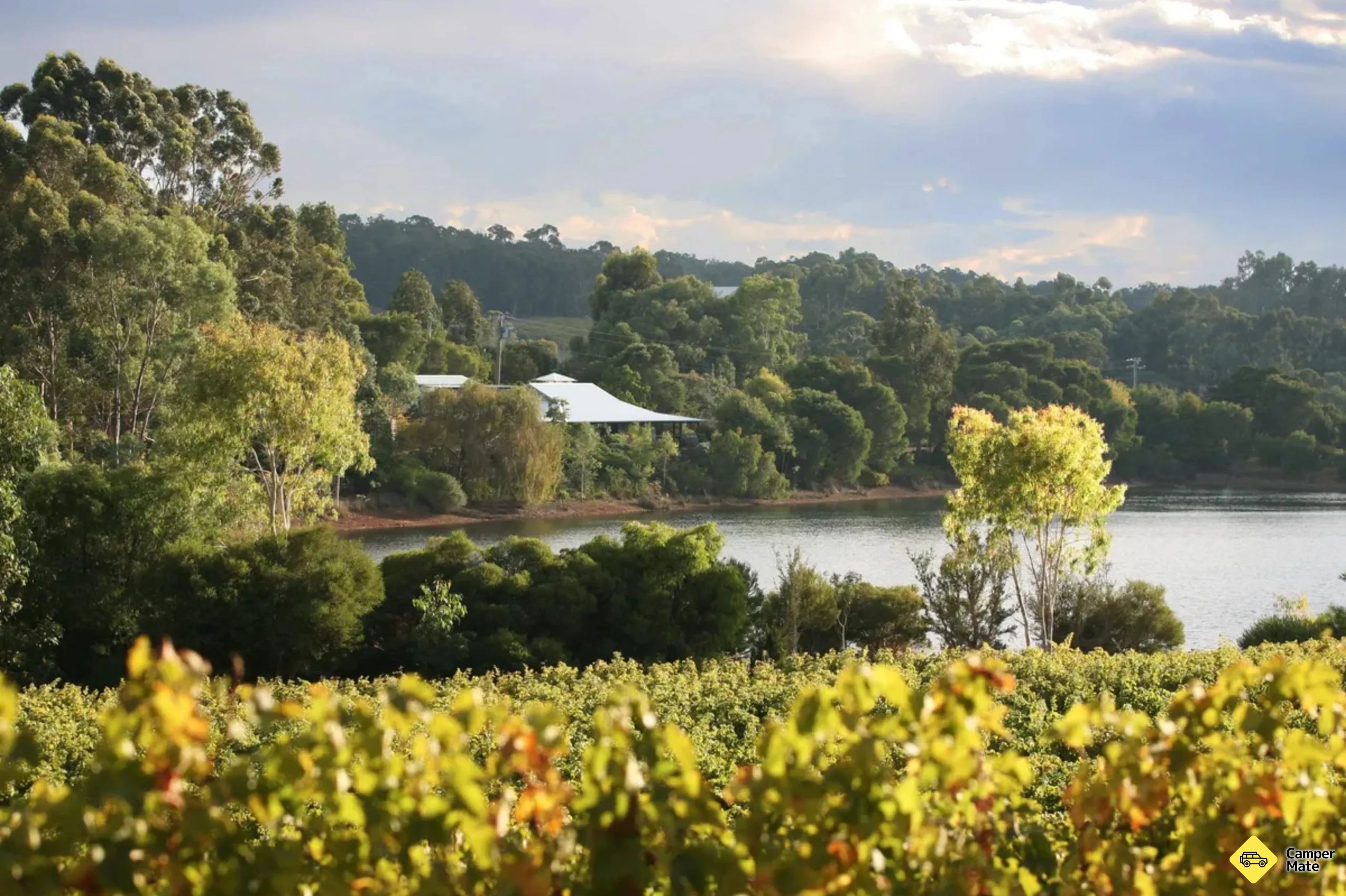Ετικέτες Tycoons Winery