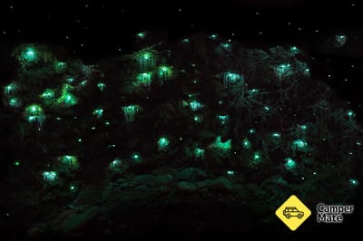 Hokitika Glow Worm Dell