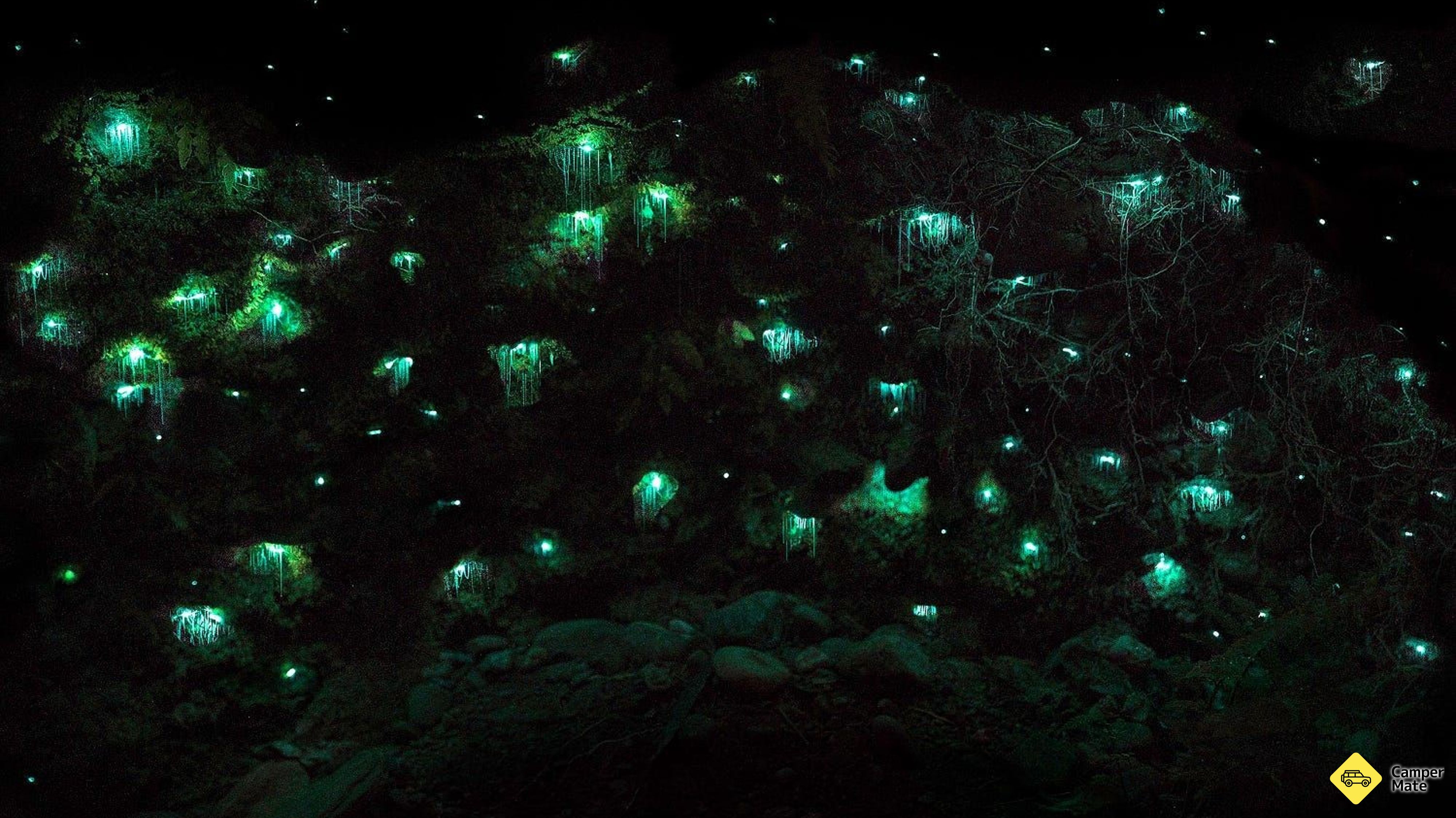 Glow Worm firmy Dell