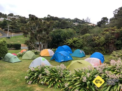 Stewart Island Backpackers & Camp