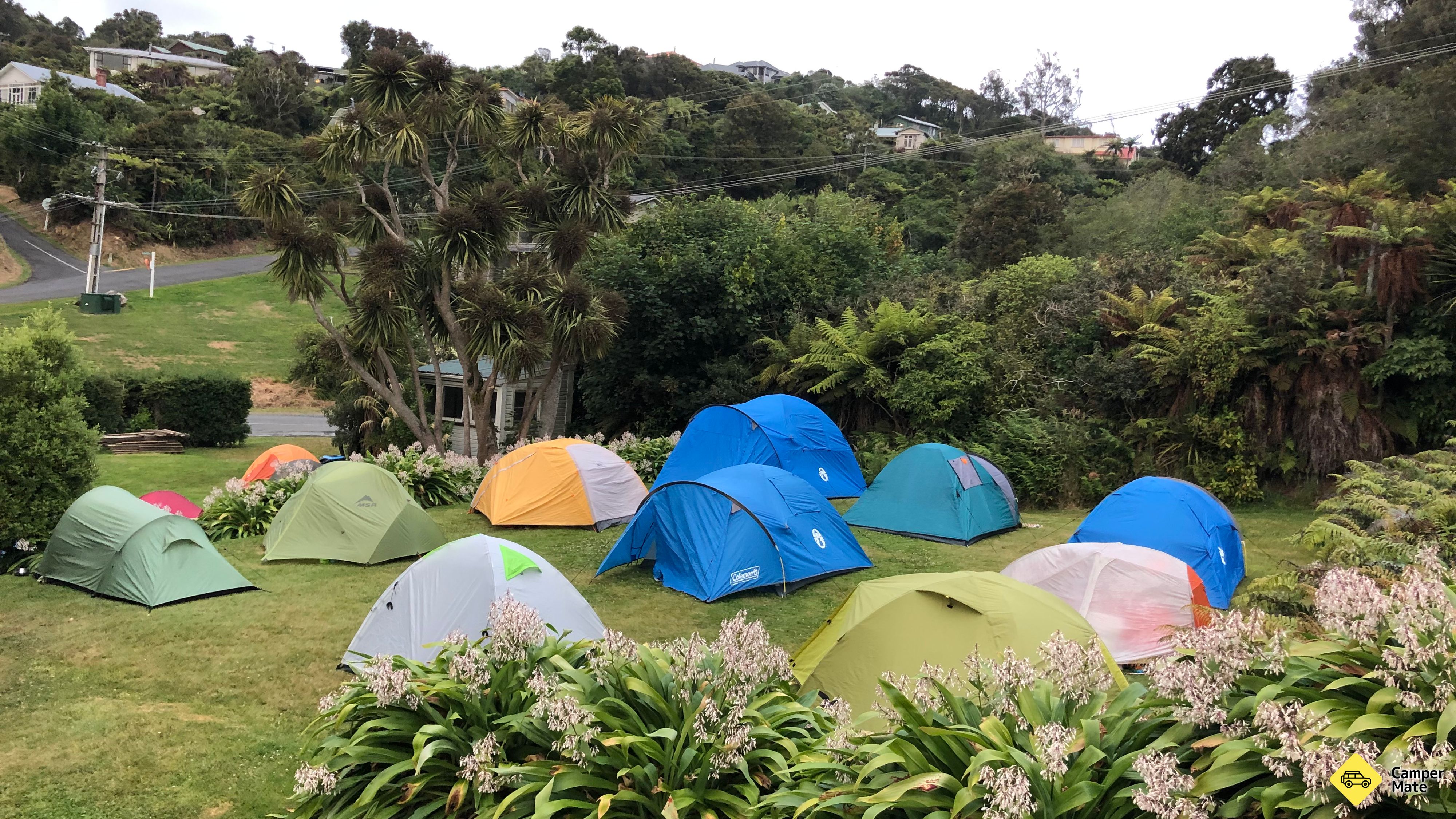 Stewart Island Backpackers และแคมป์