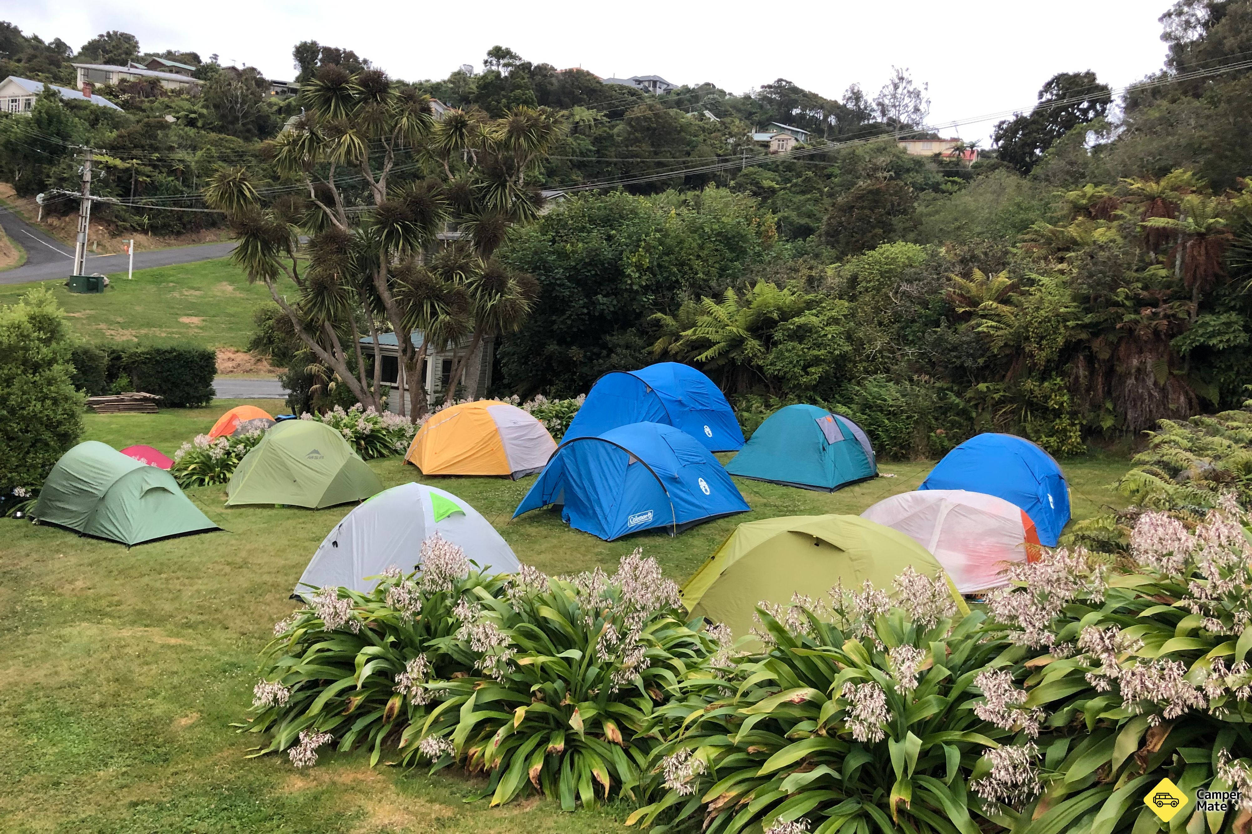 Stewart Island Backpackers & Camp
