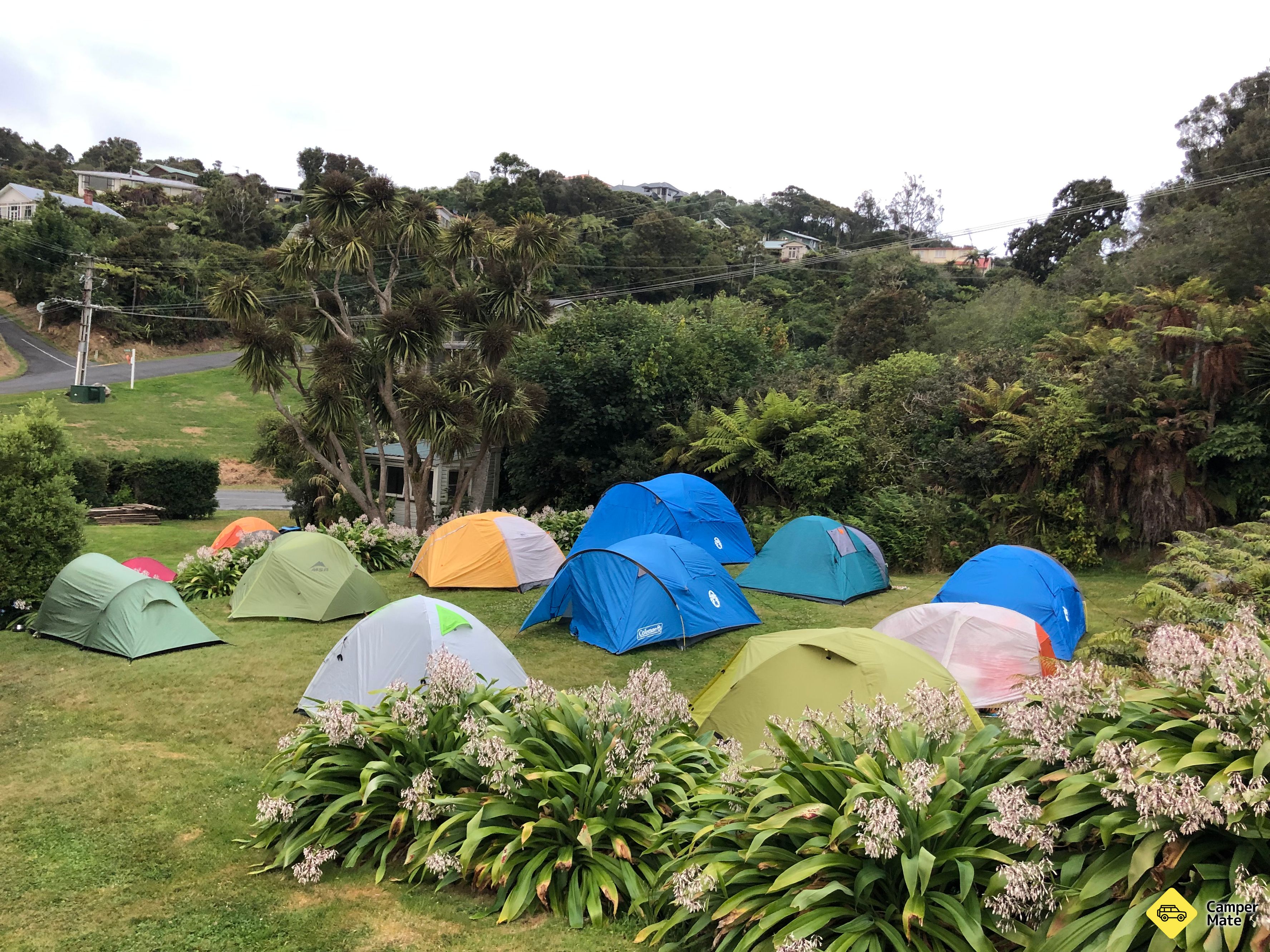 Stewart Island Backpackers & Camp