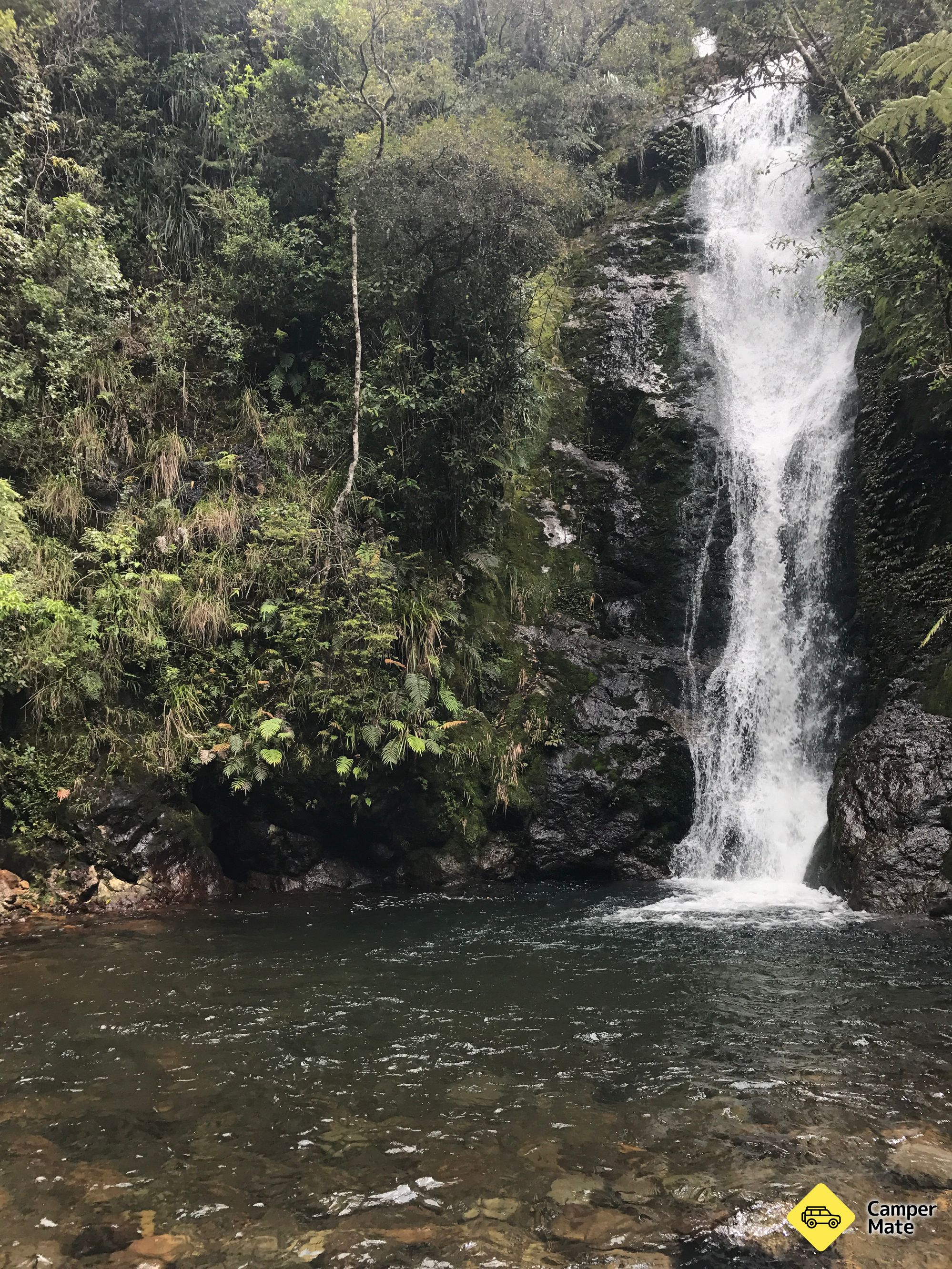 Wentworth Falls - Image 2