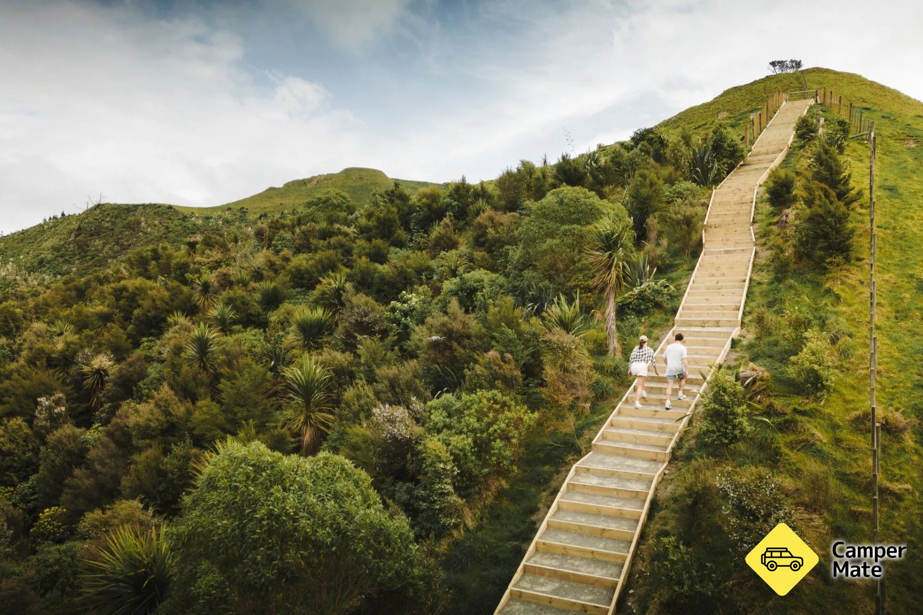 Papamoa Hills Summit Track