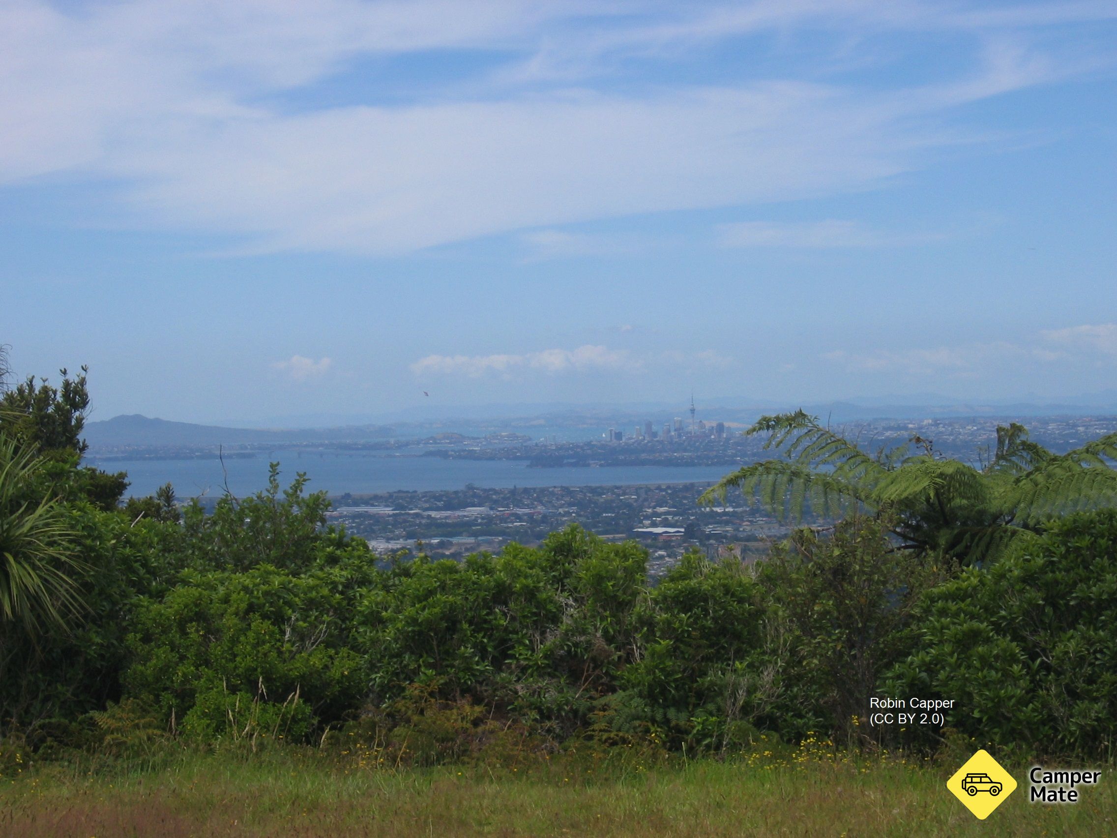 Pukematekeo Lookout