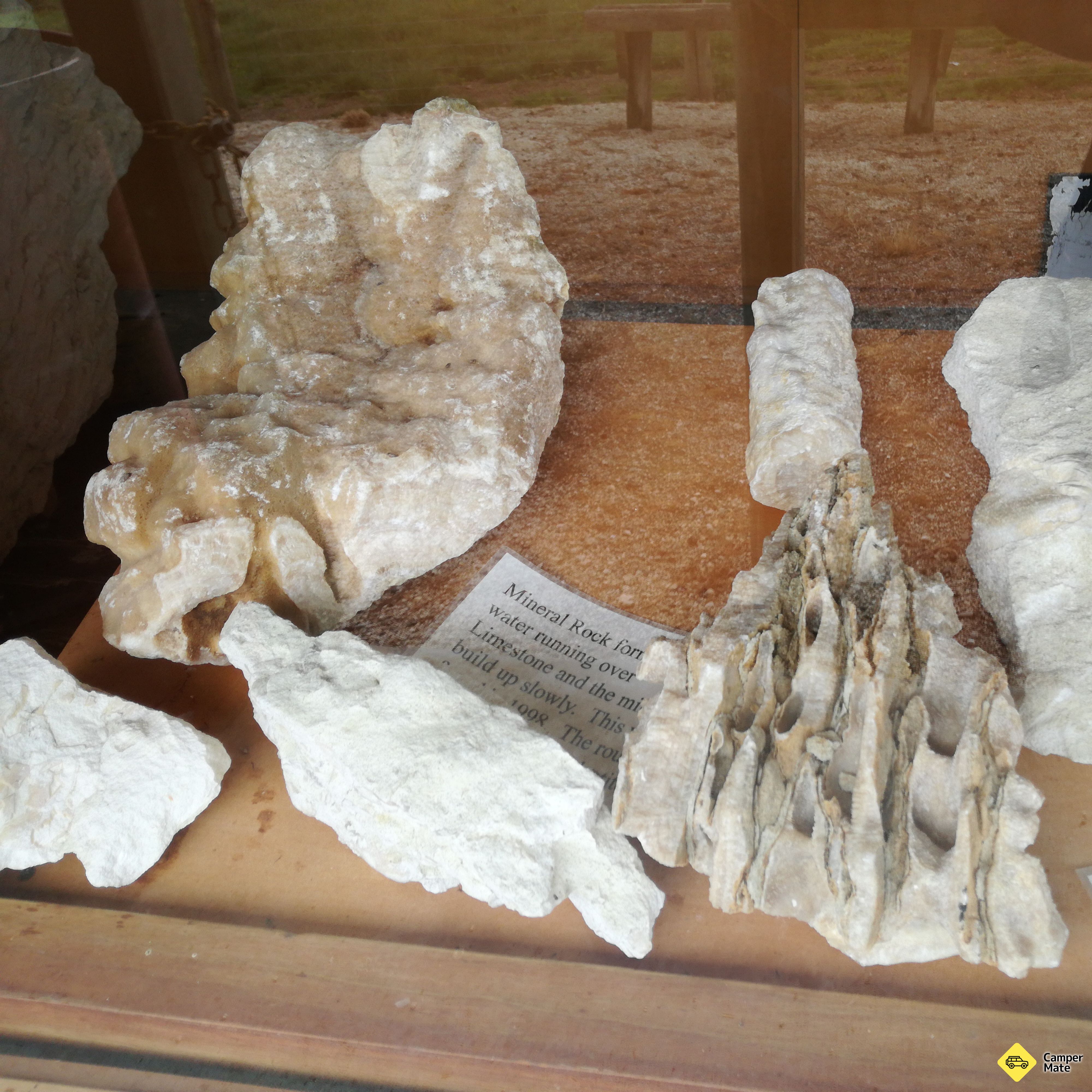 Whale Fossil Lookout - Image 2