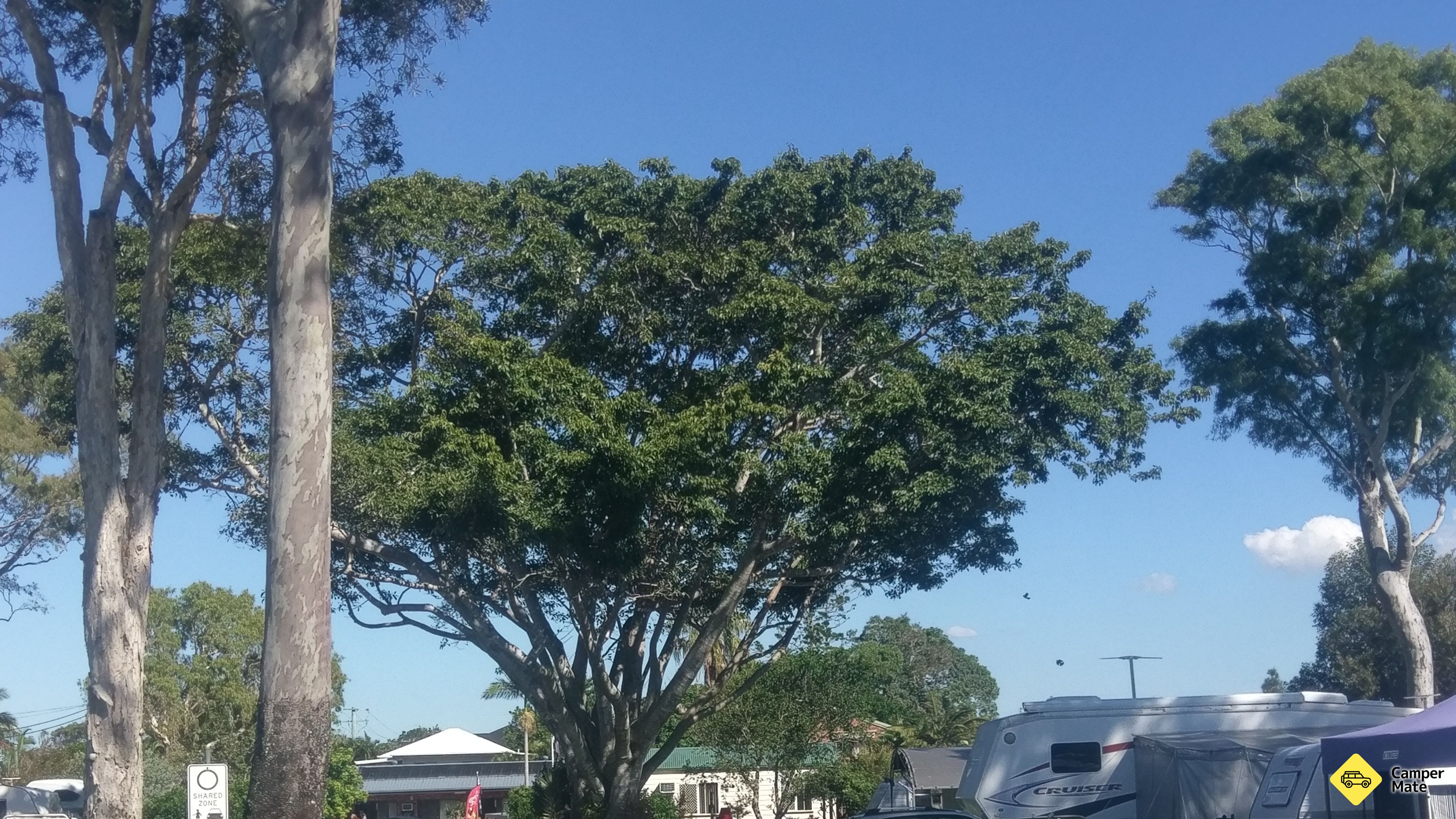 Parque Beachmere Caravan