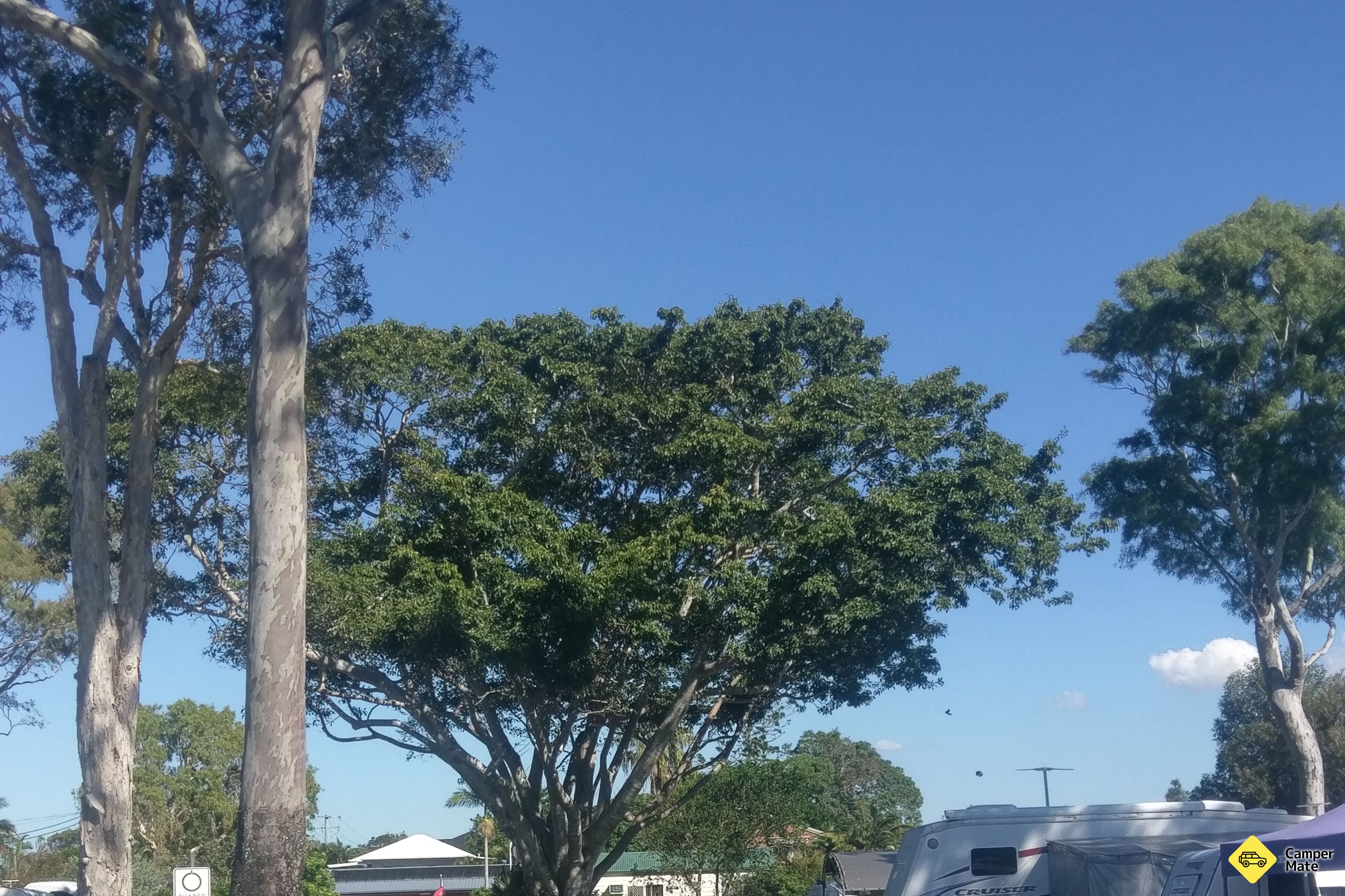 Beachmere Caravan Park