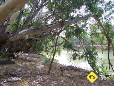 Markeys Beach Camp