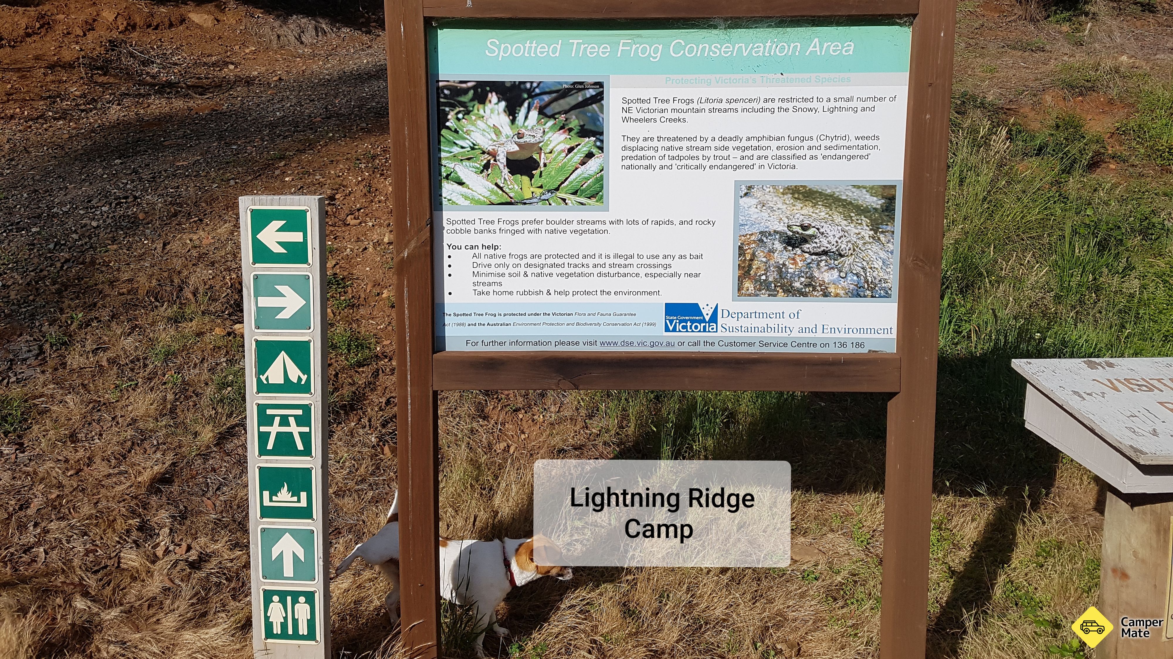 Lightning Creek Camping und Picknick