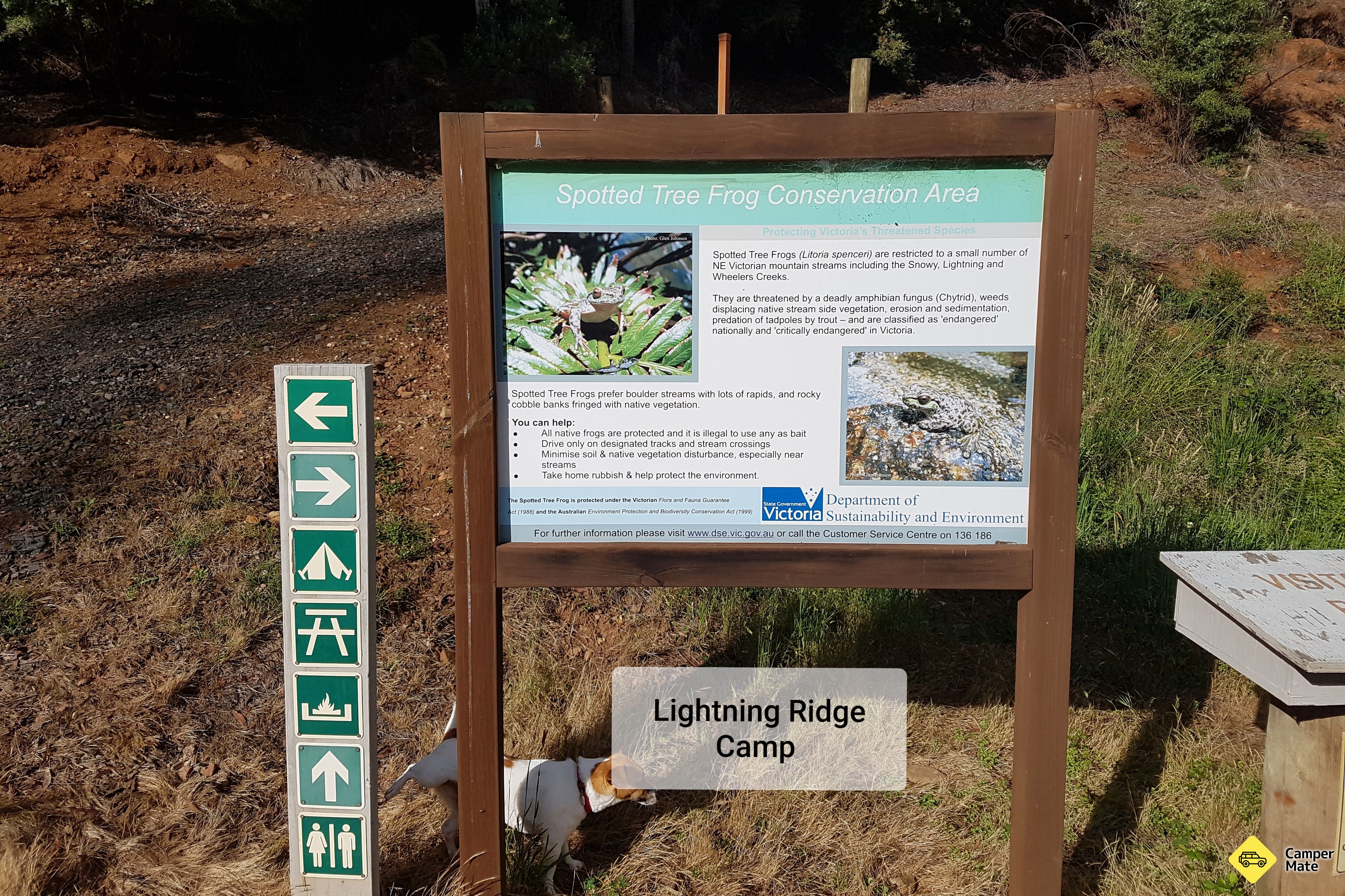 Lightning Creek Camping und Picknick