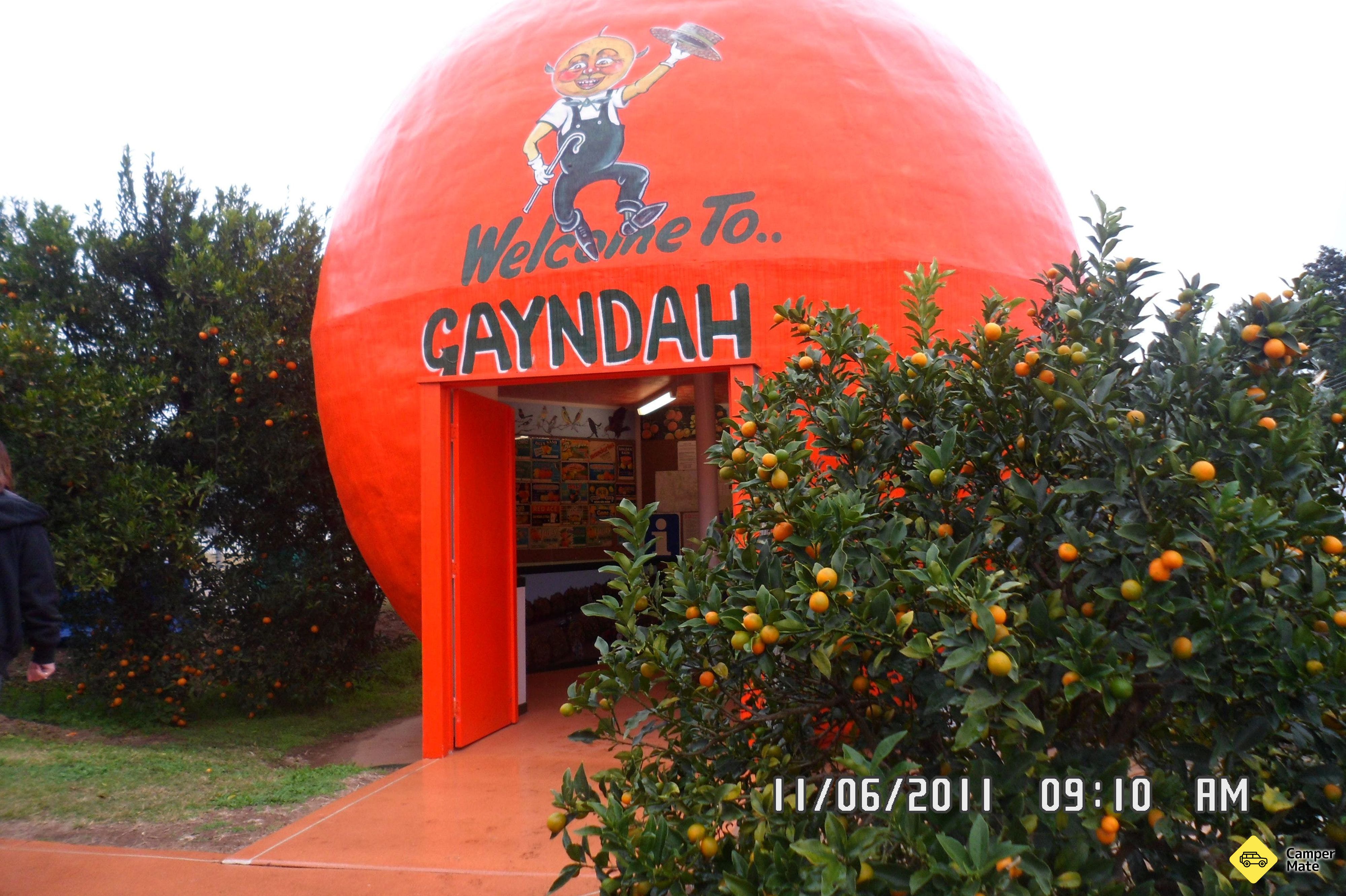 Gayndahs Velký oranžový - Image 2