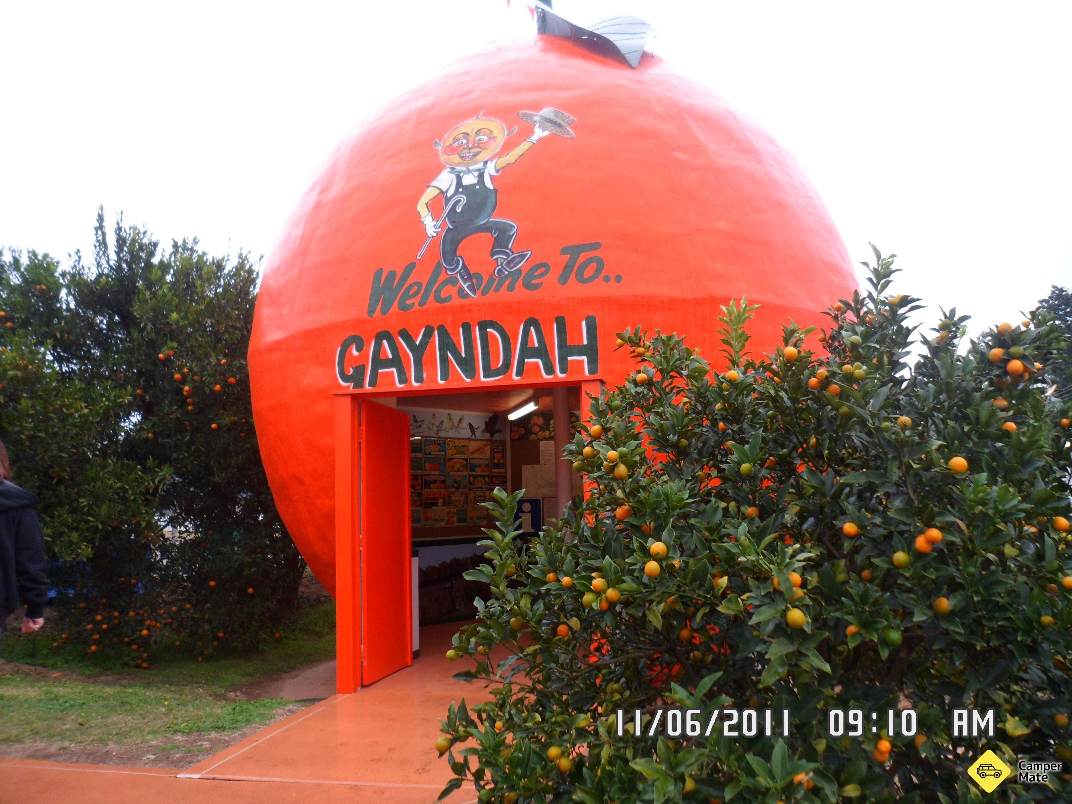 Gayndahs Big Orange - Image 2