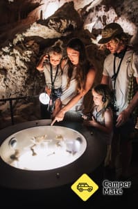 Mammoth Caves Tour