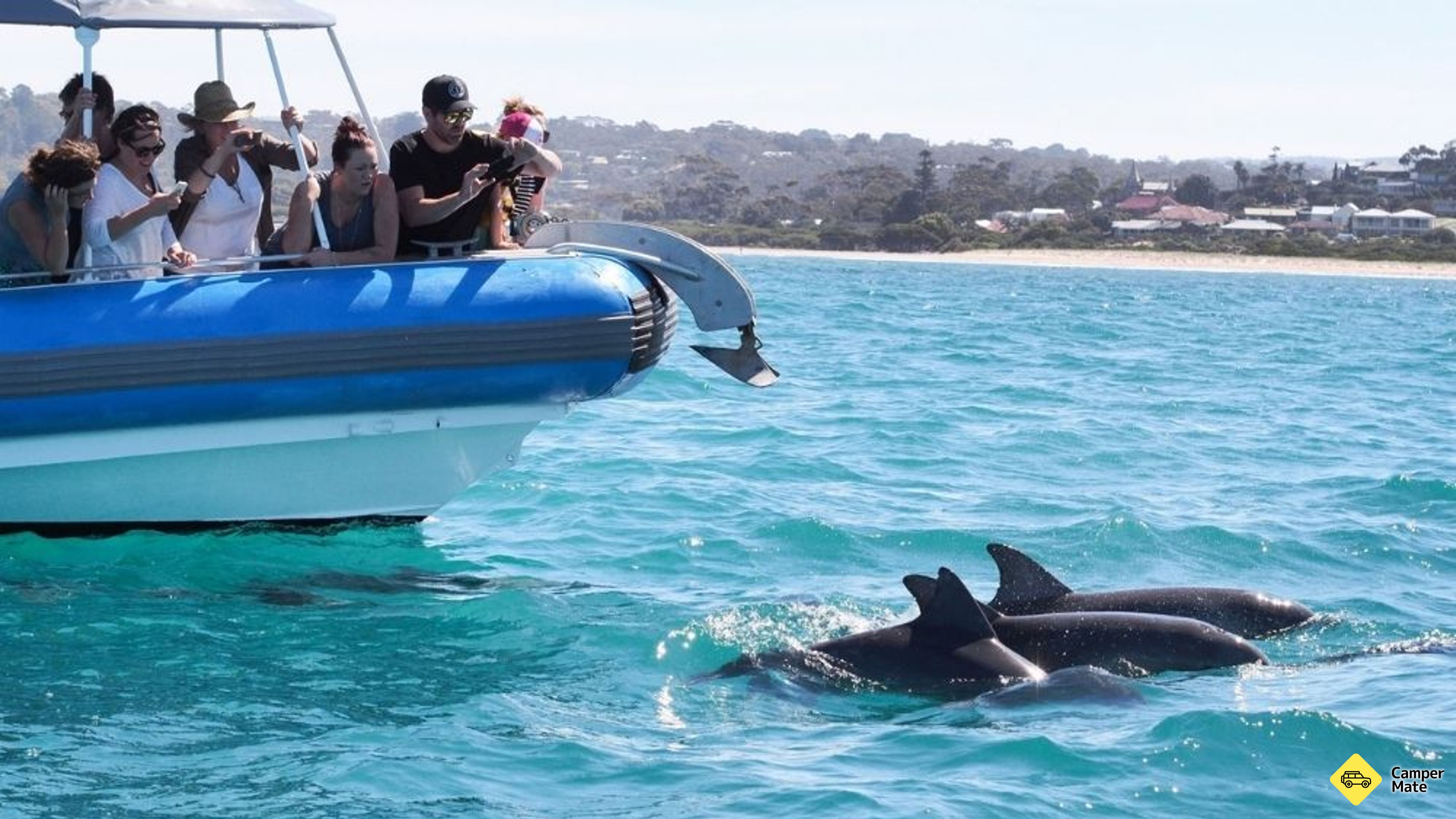 Crociera Victor Harbor Southern Ocean Adventure