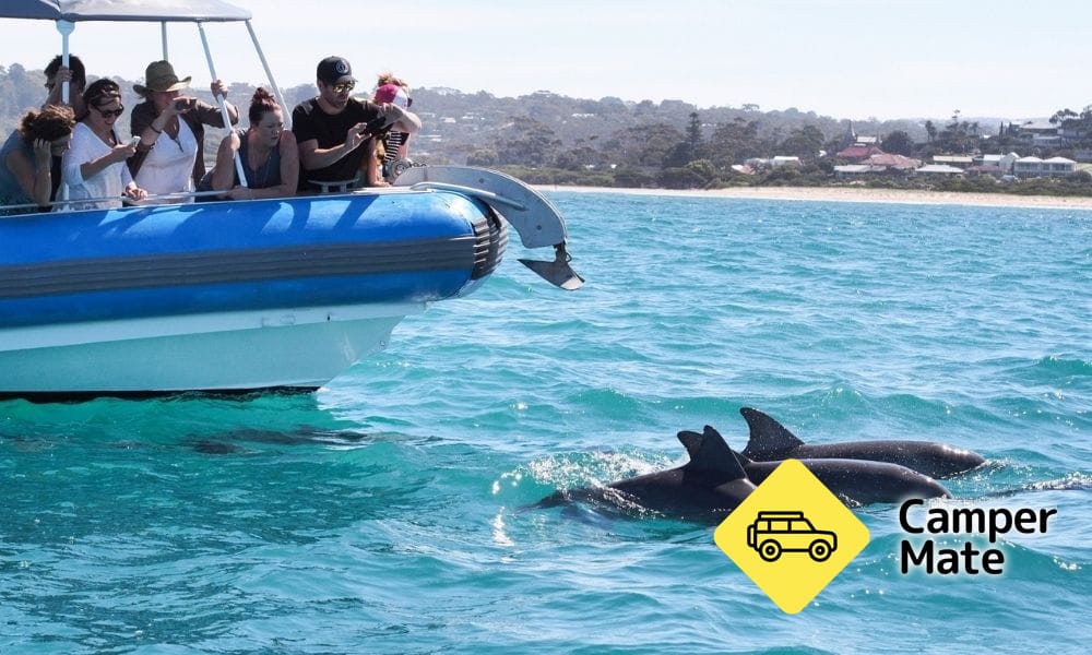 Victor Harbor Southern Ocean Adventure Cruise