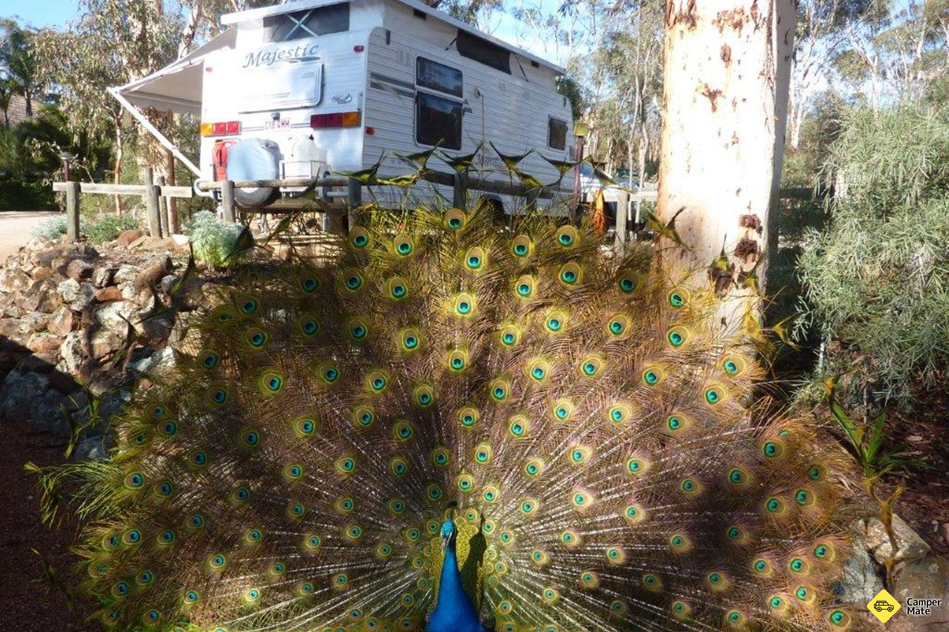 Hotéis em Toodyay Holiday Park & Chalets - Image 3