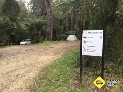 Aire Crossing Campground, Great Otway Forest Park