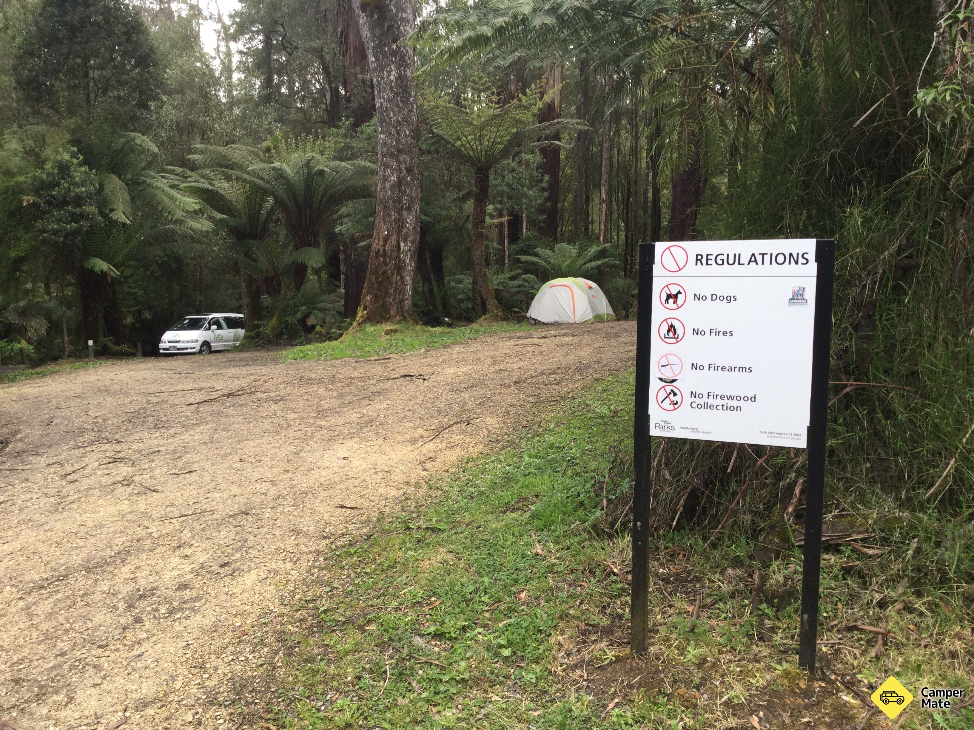 Aire Crossing Campground, Great Otway Forest Park