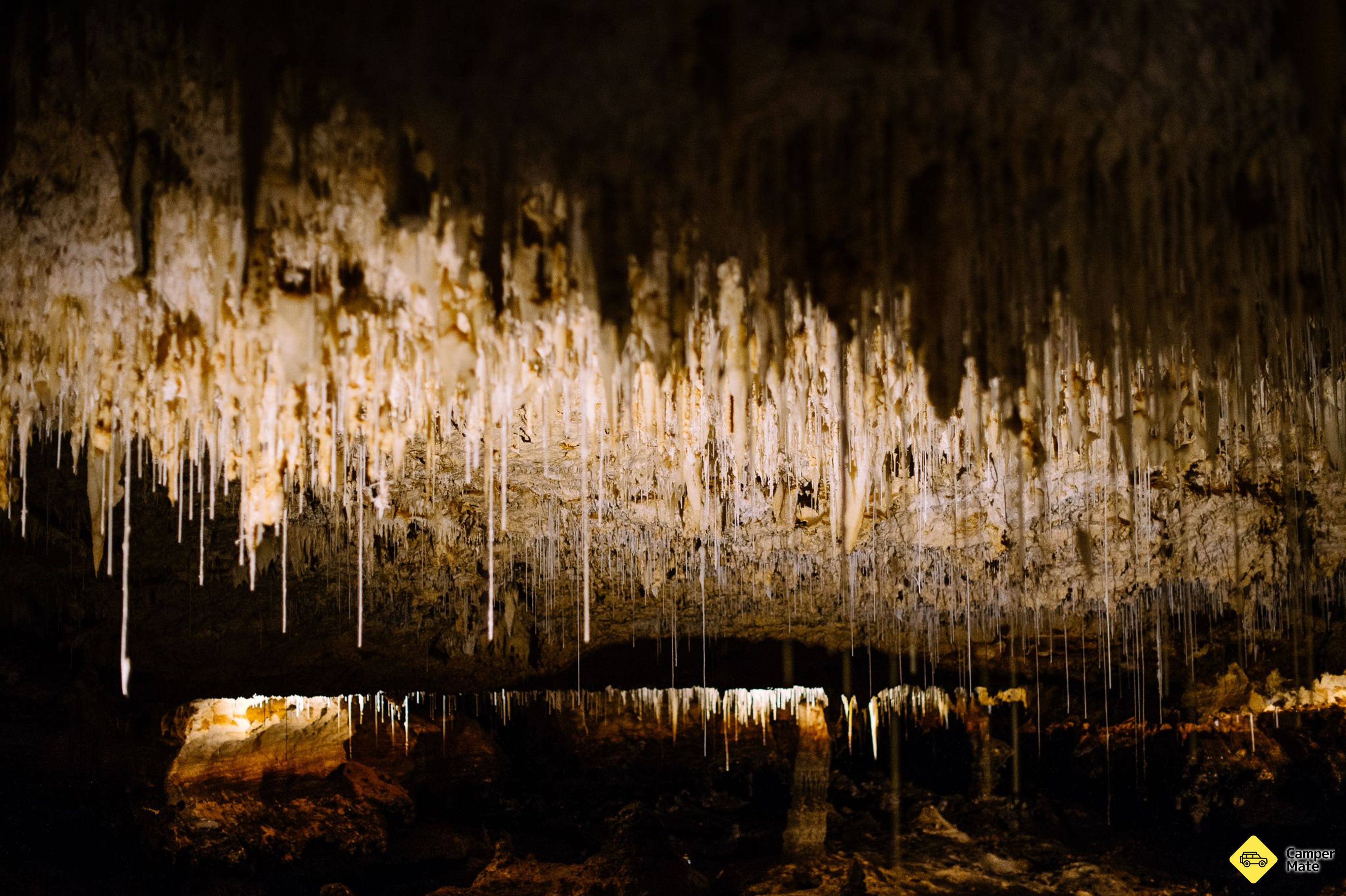 Excursie cu ghid la Peștera Jewel - Image 3